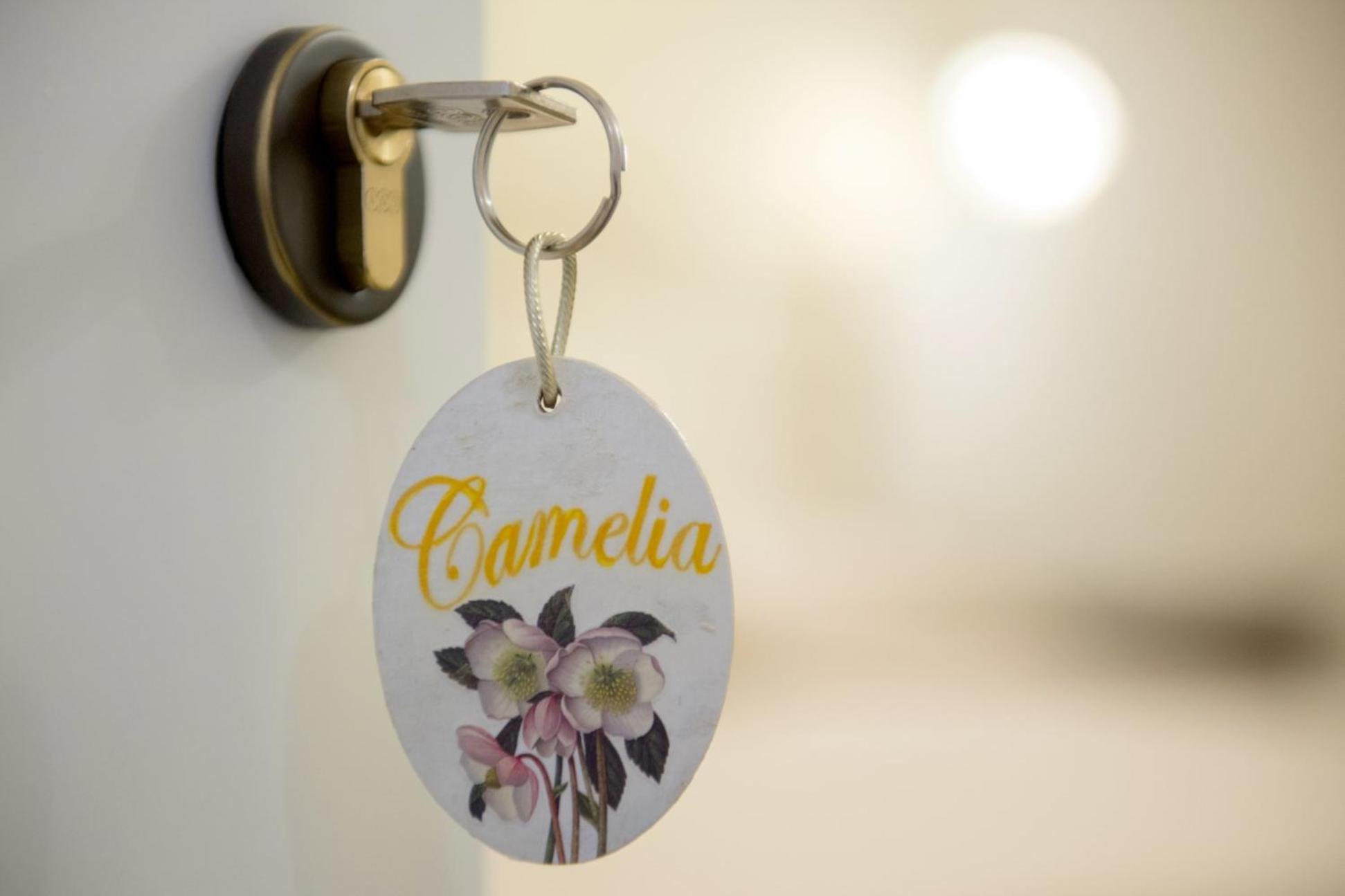 B&B Corte dell' Immacolata, photo 36