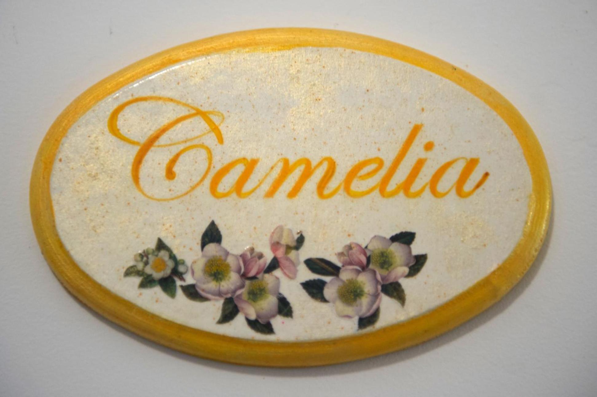 B&B Corte dell' Immacolata, photo 30