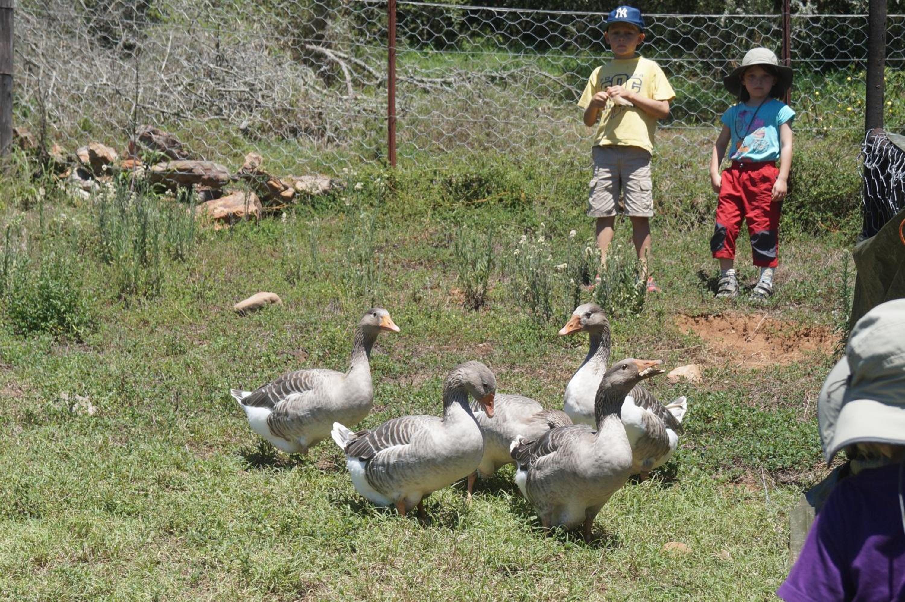 Pure Nature Familodge