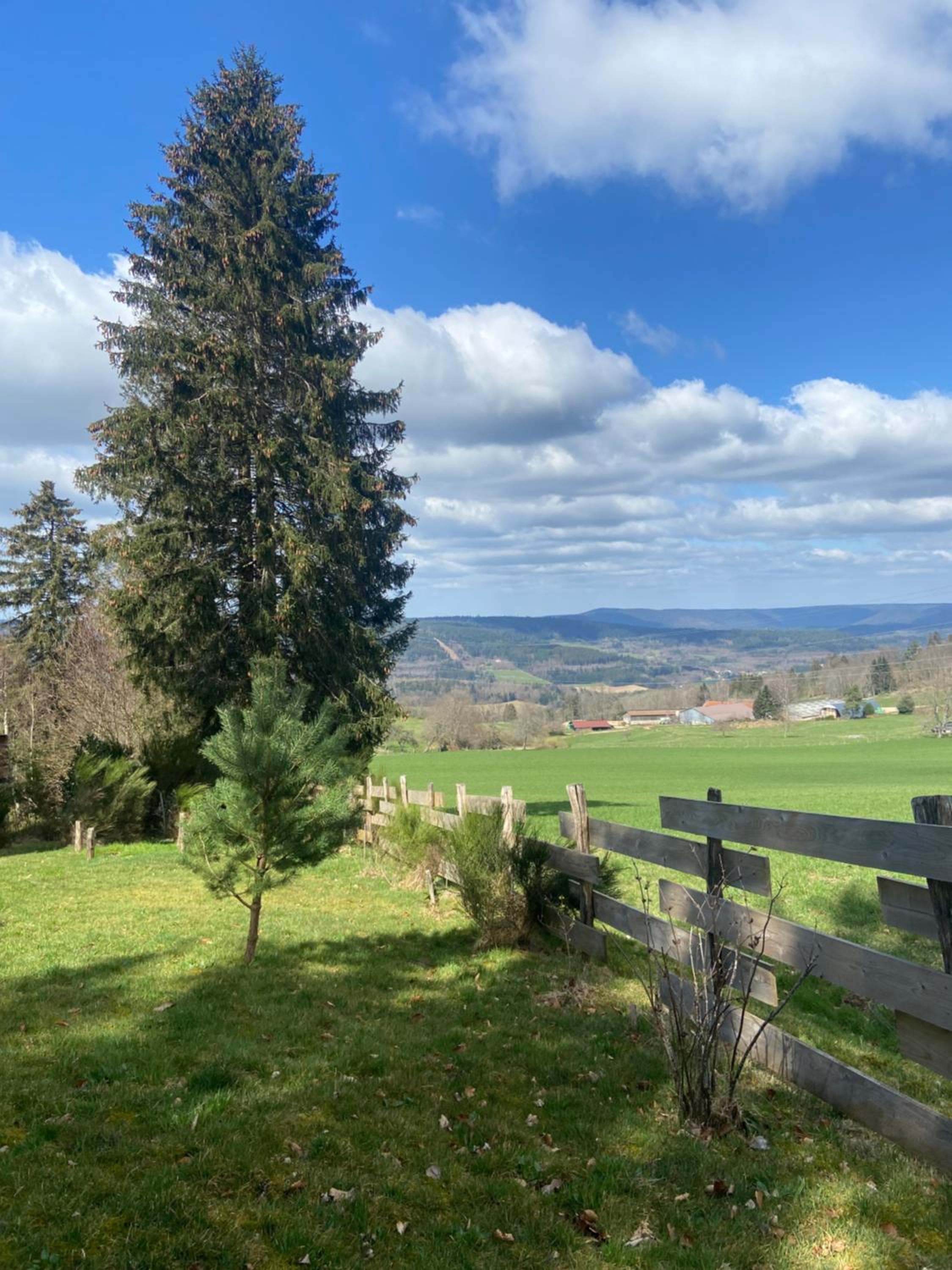 Chalet bois au calme, en lisière de forêt, balcons, sentiers balades Gérardmer & Alsace 