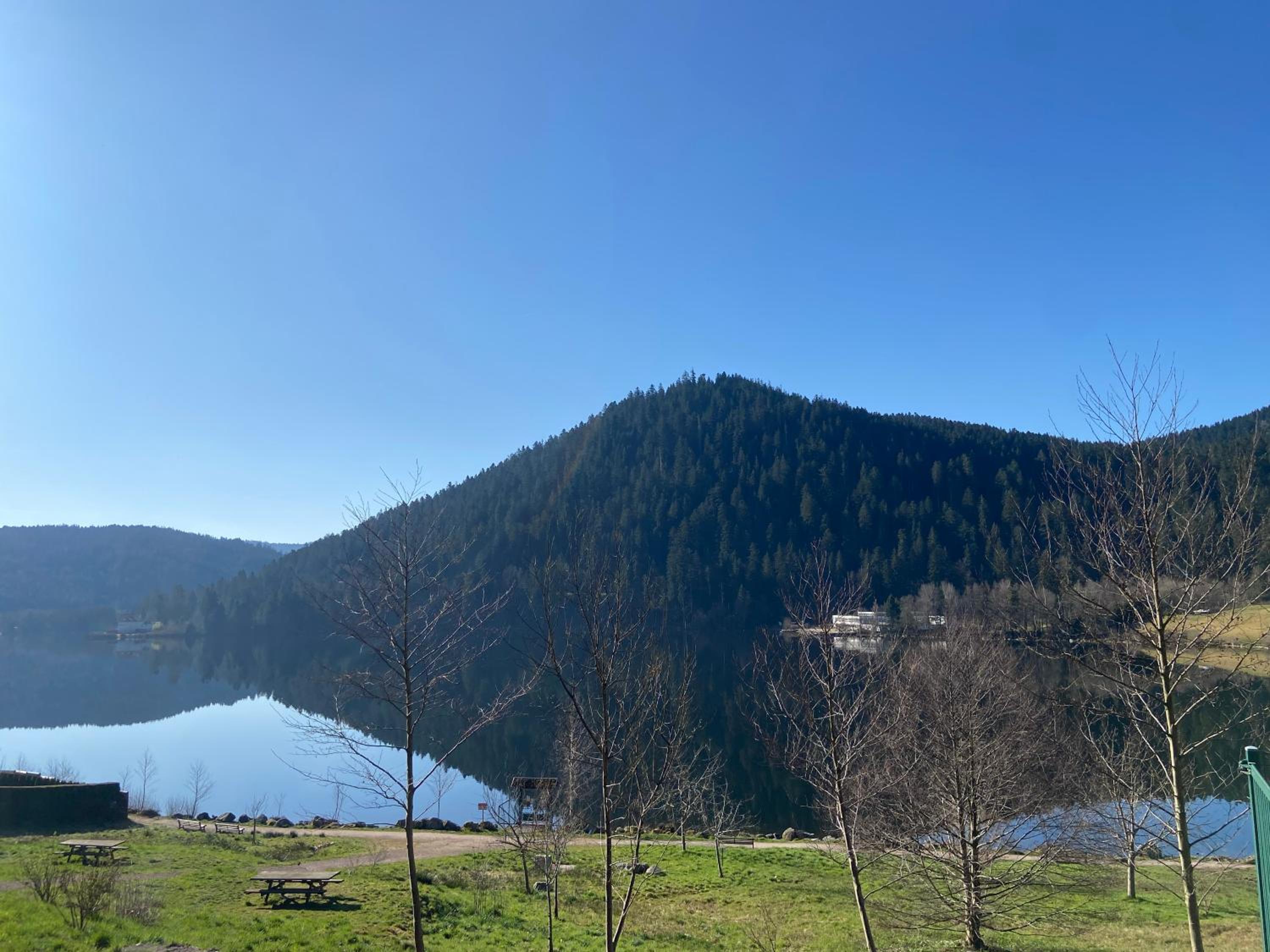 Chalet bois au calme, en lisière de forêt, balcons, sentiers balades Gérardmer & Alsace 