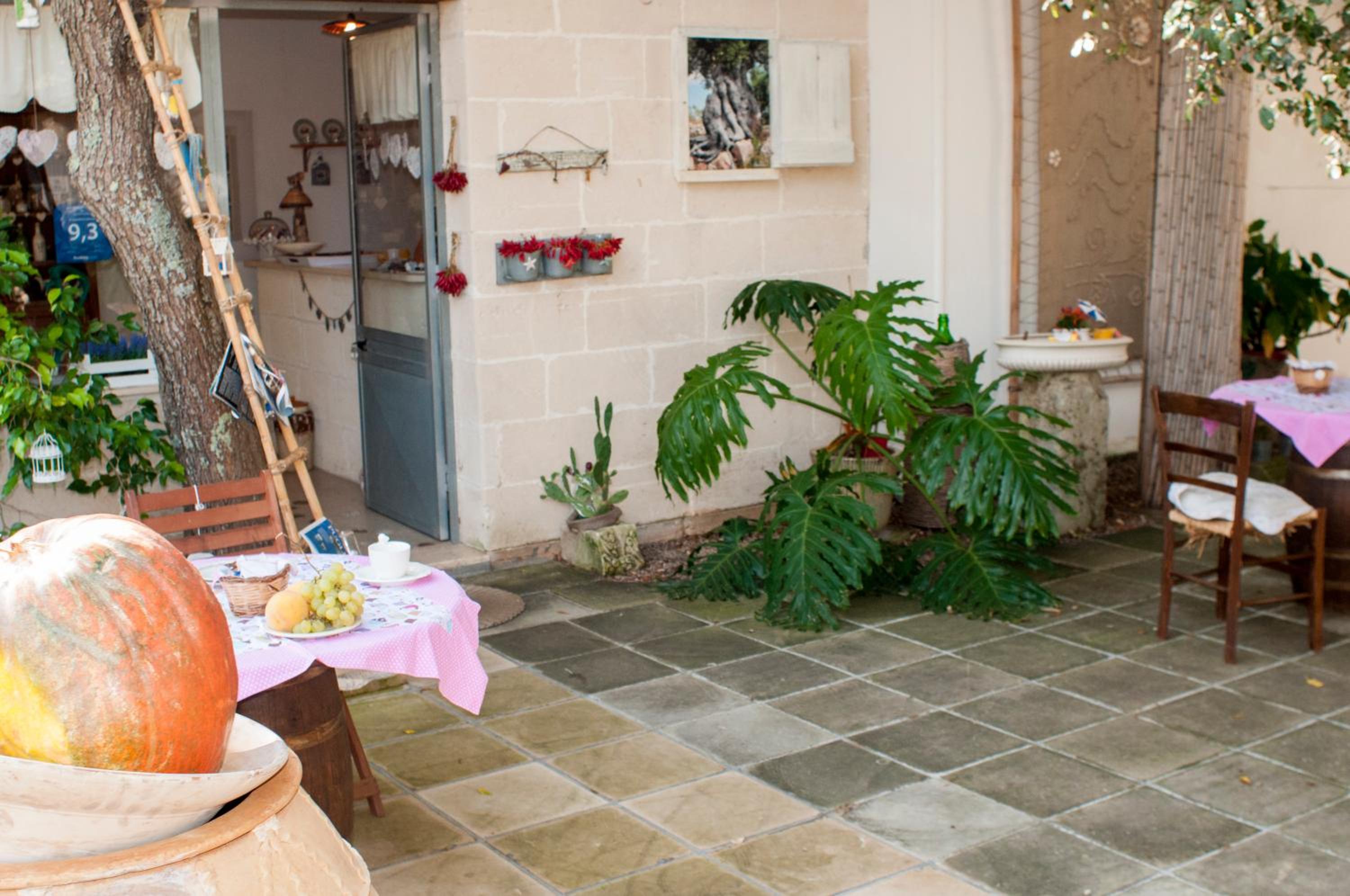 Alba Bed & Breakfast, photo 10