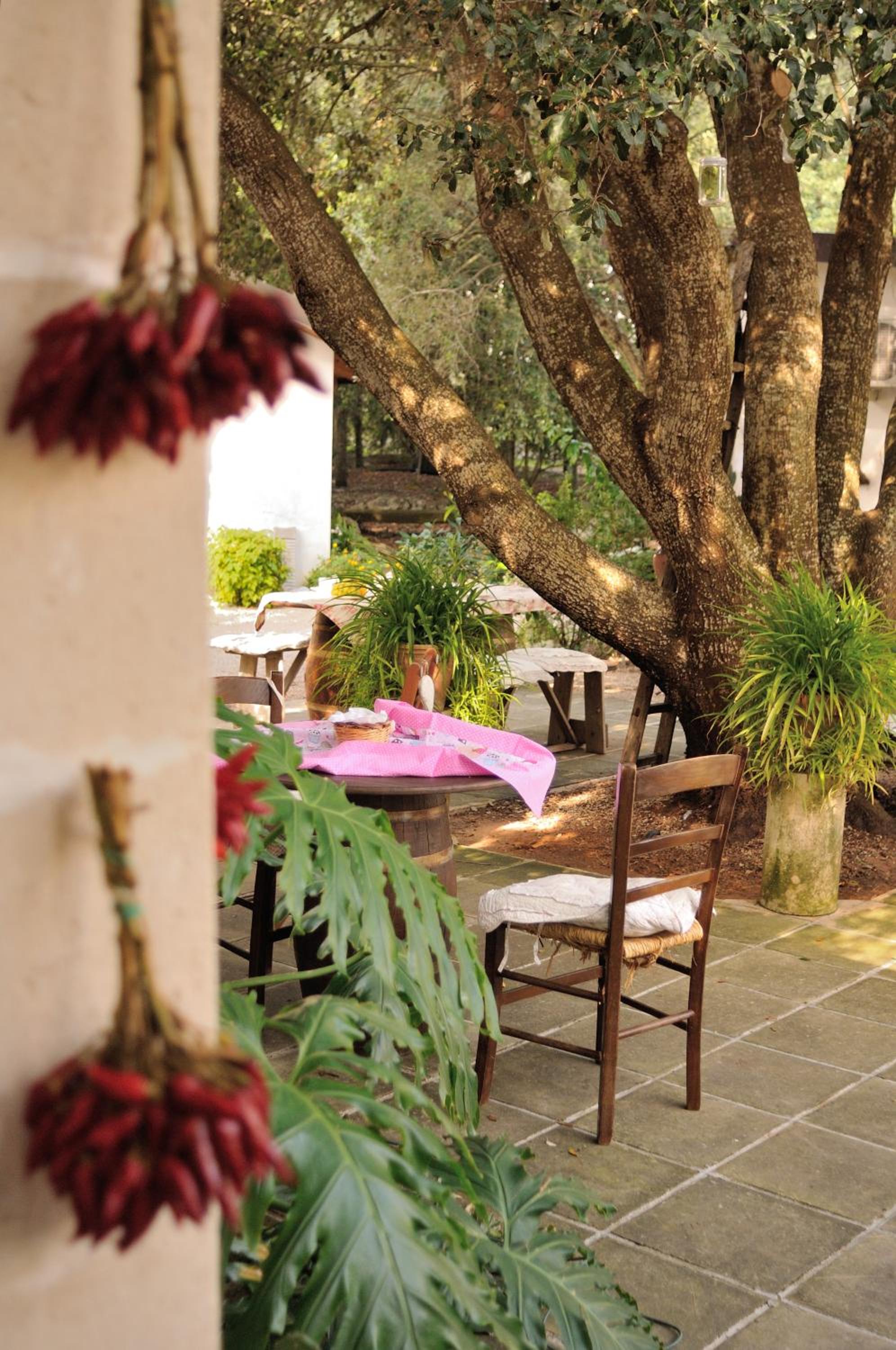 Alba Bed & Breakfast, photo 40