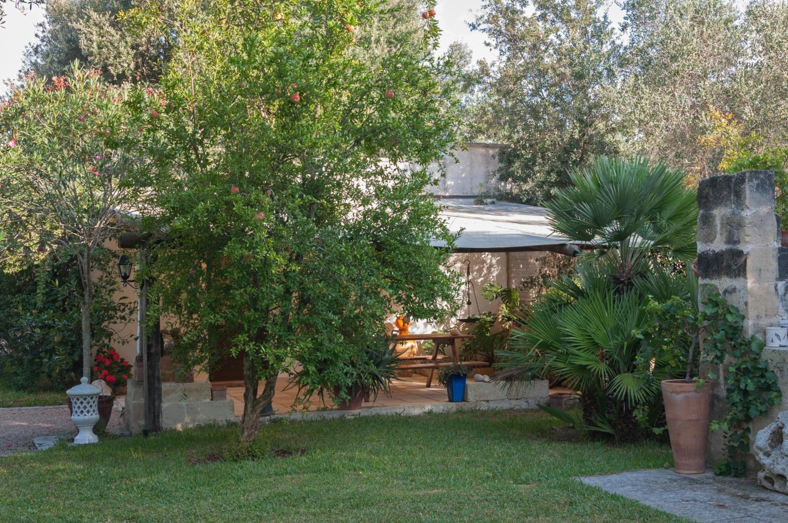 Photo 14