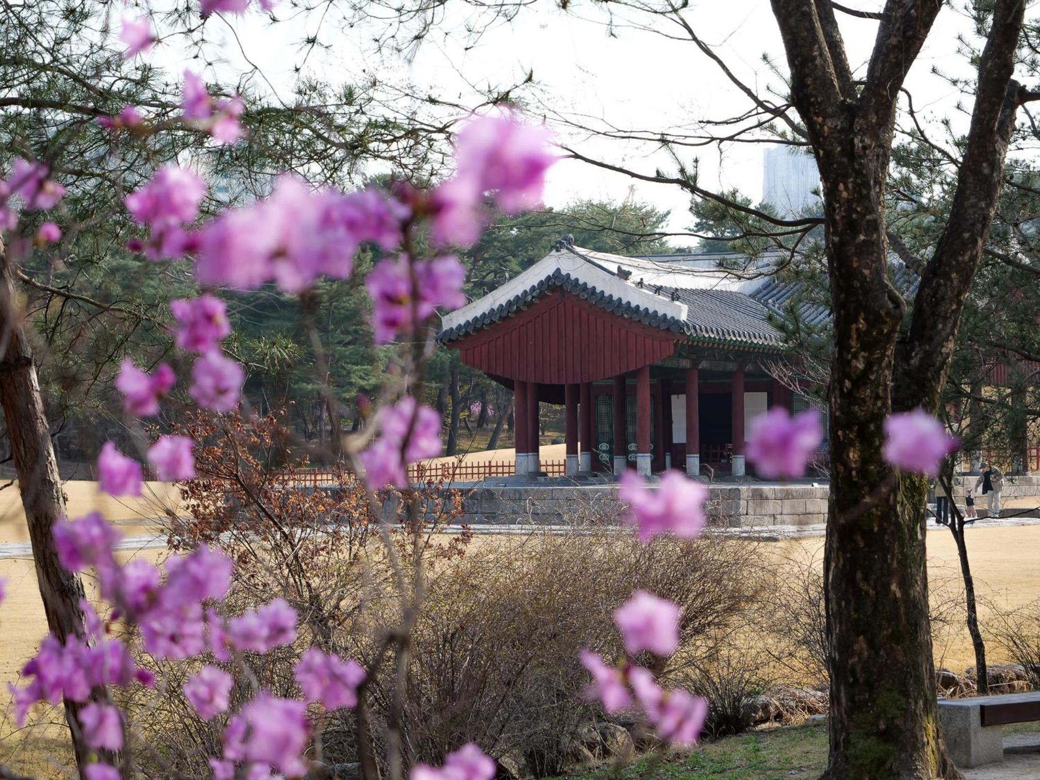 스테이 포즈 서울 Stay Pause- Serene Loft Retreat in Seoul