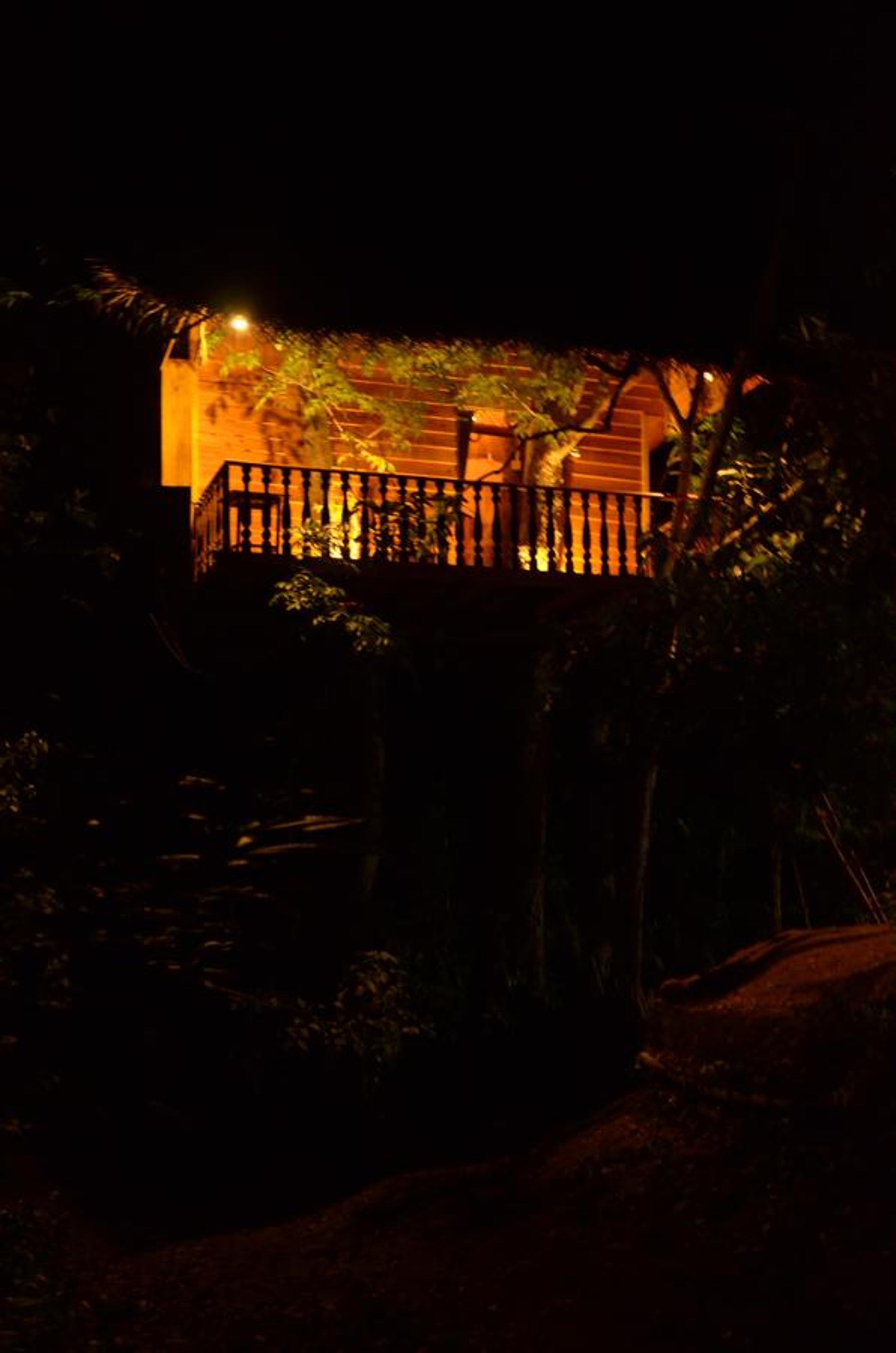 Photo 47