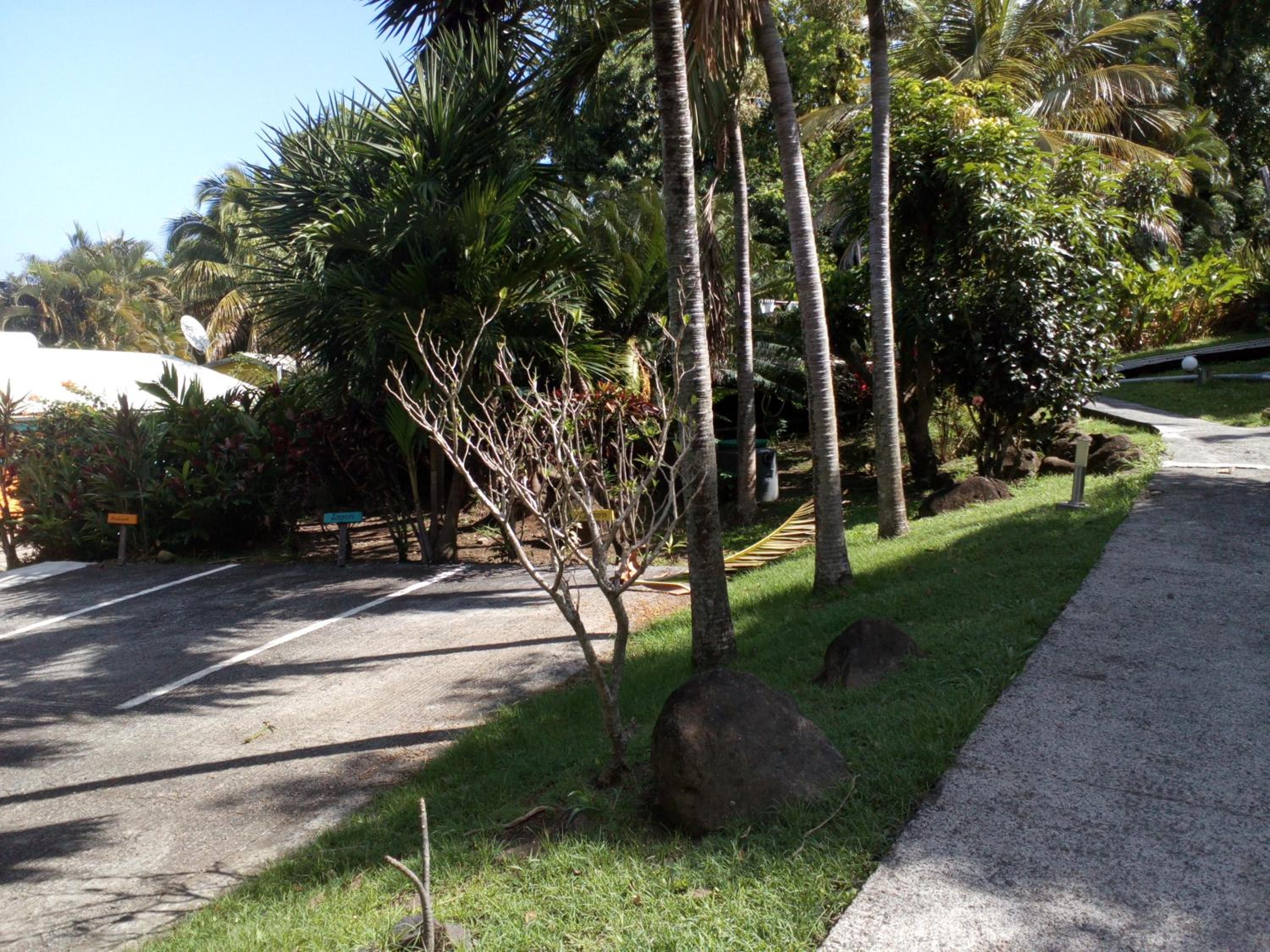 Oasis Grande Anse