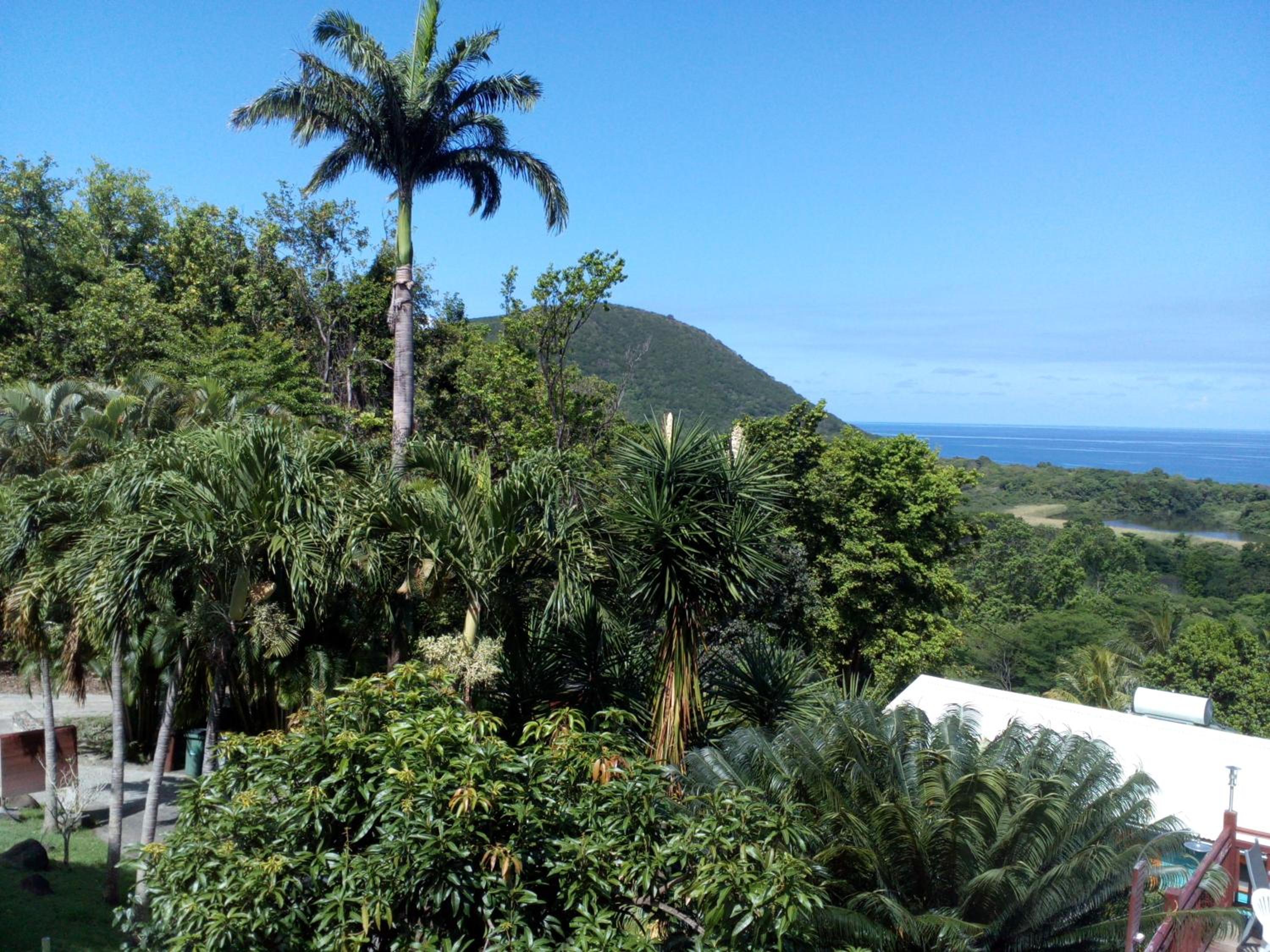 Oasis Grande Anse