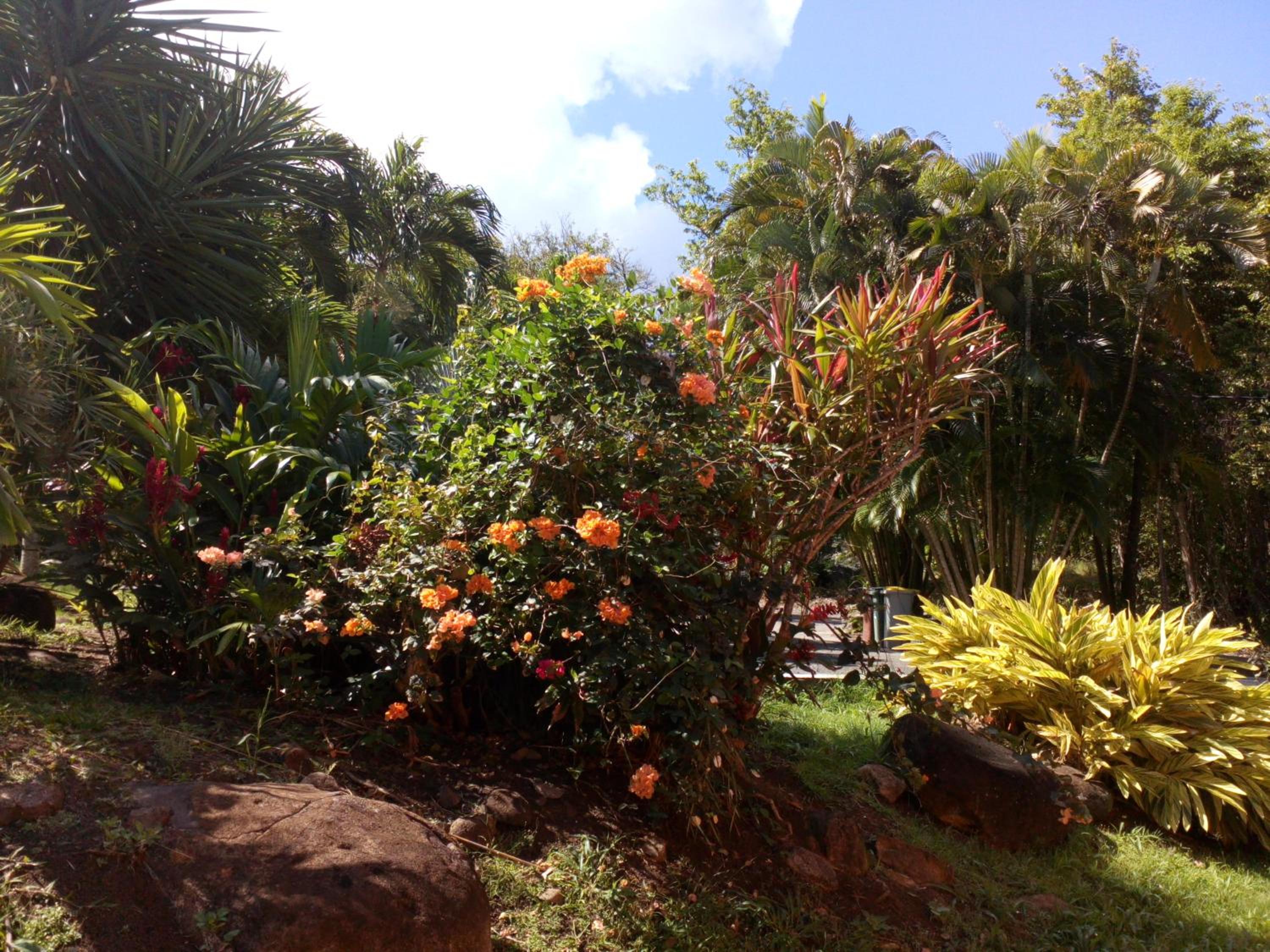 Oasis Grande Anse