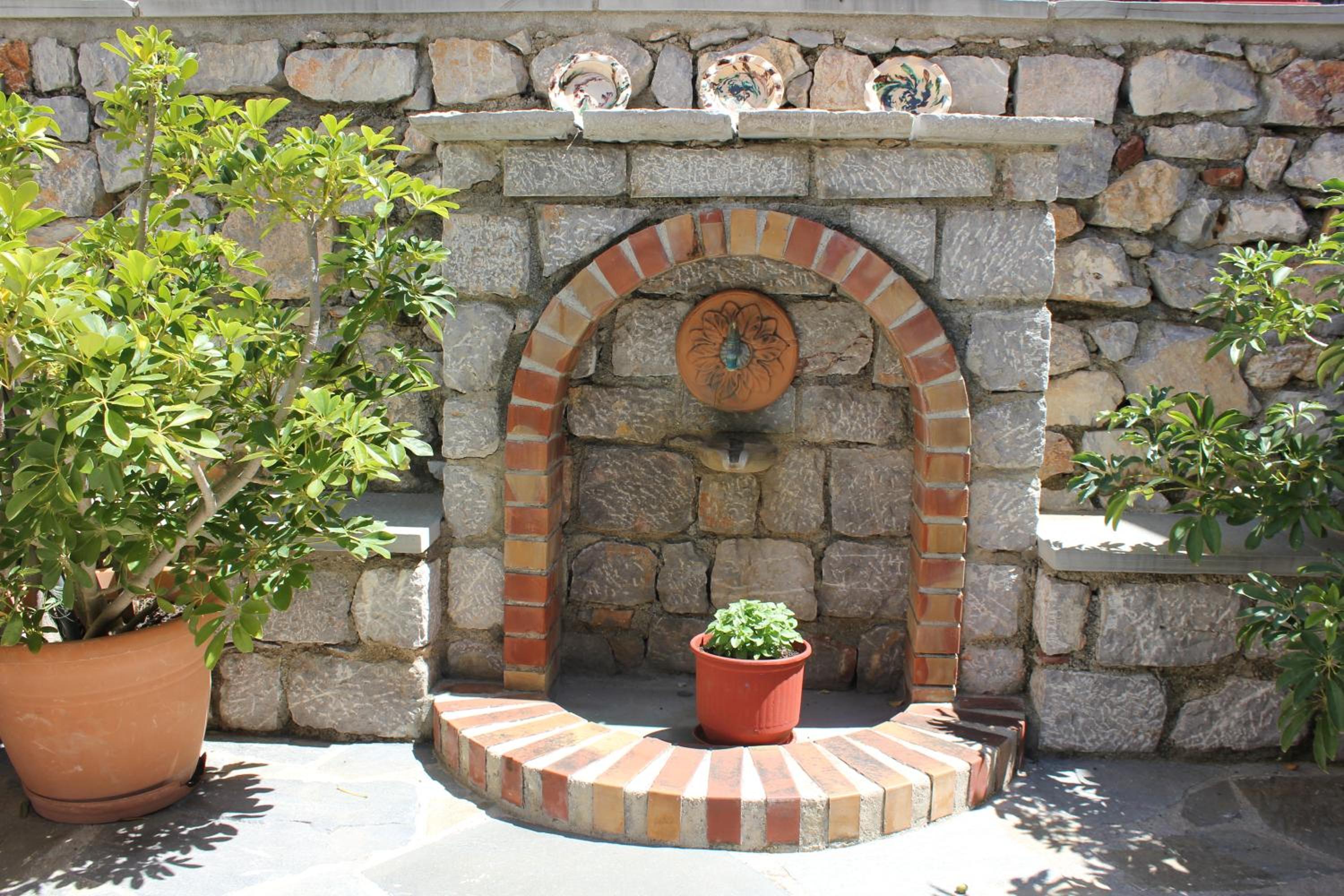 Alkionides Hydra