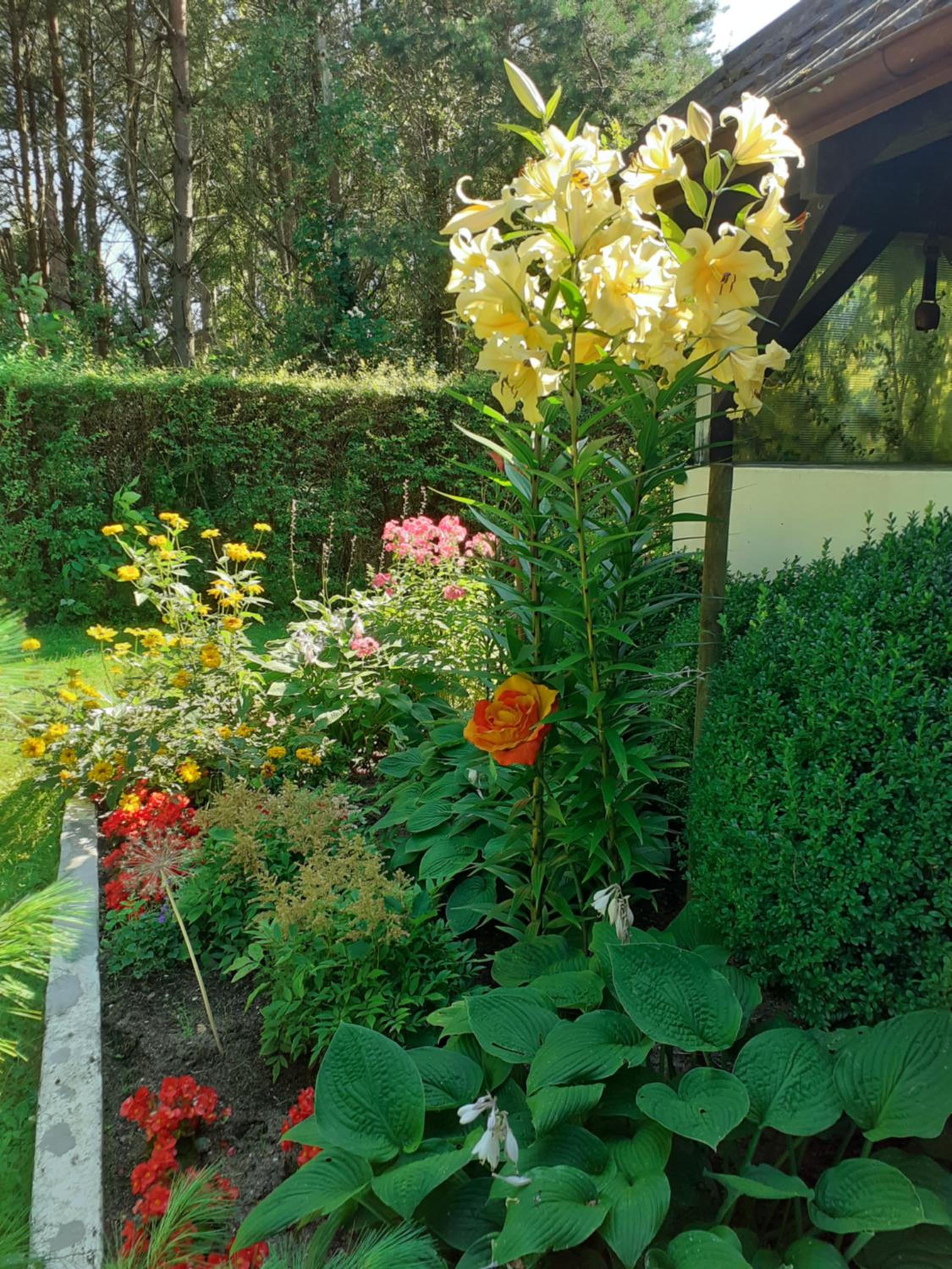 Photo 11