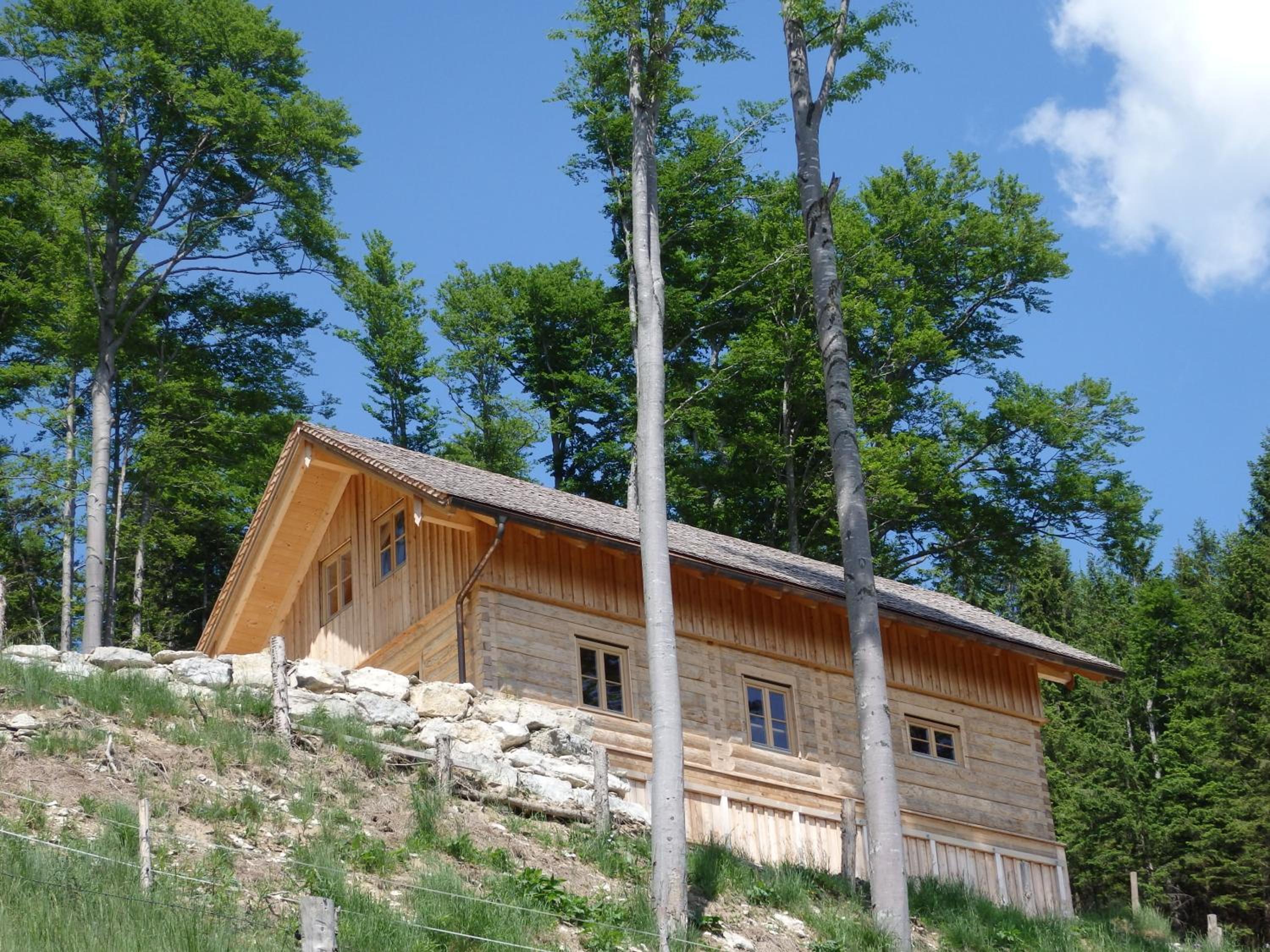 Photo 6