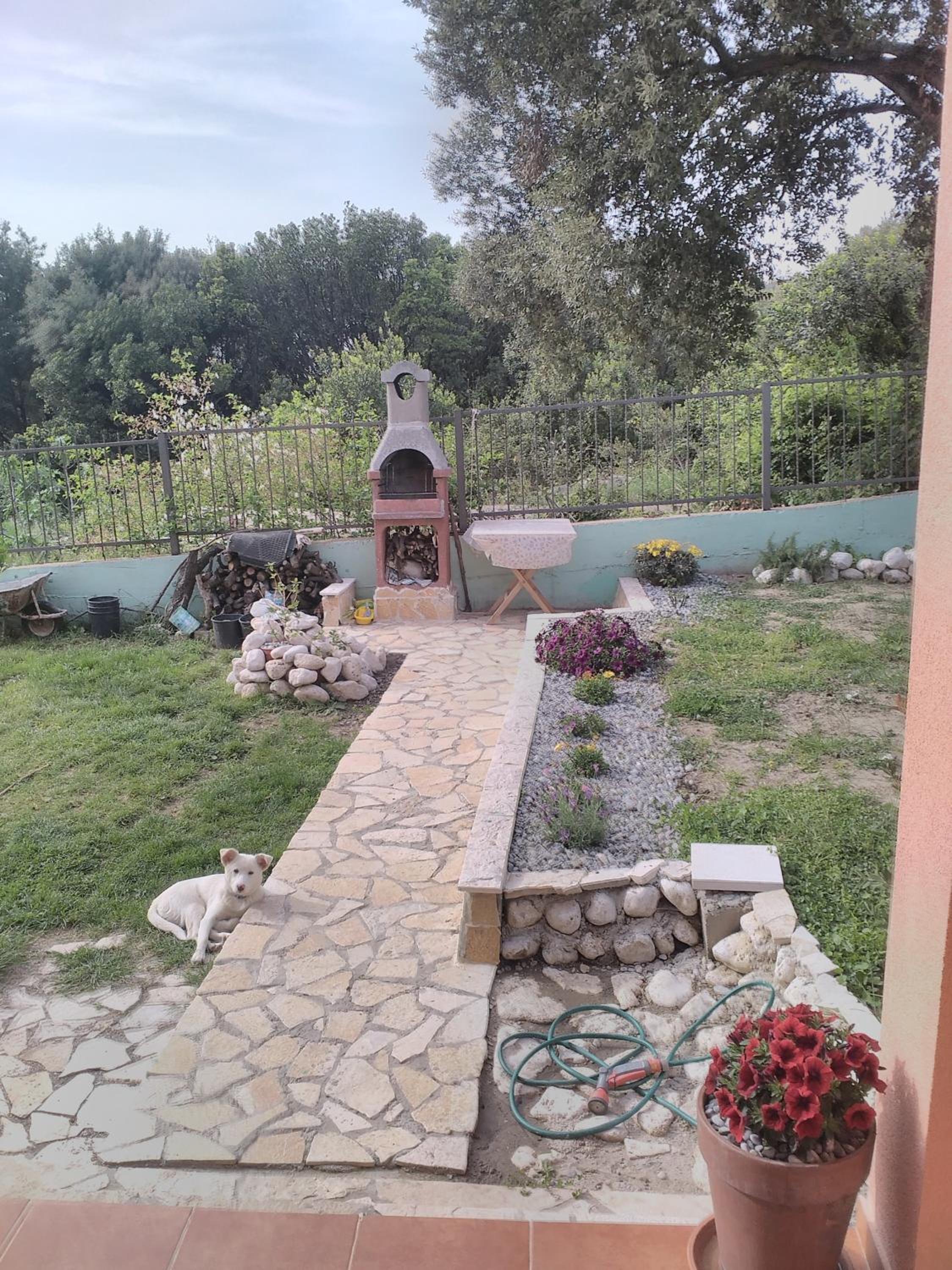 Photo 20