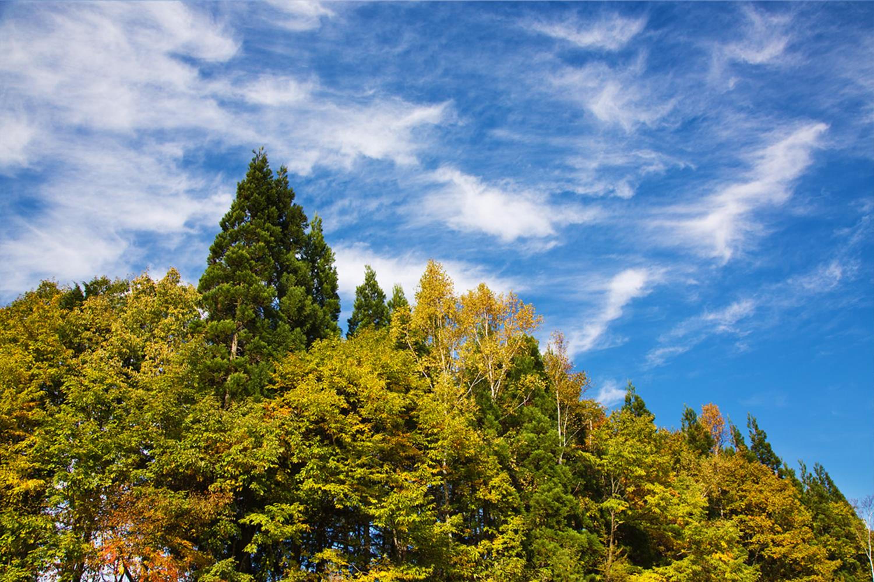 Resort Villa Takayama