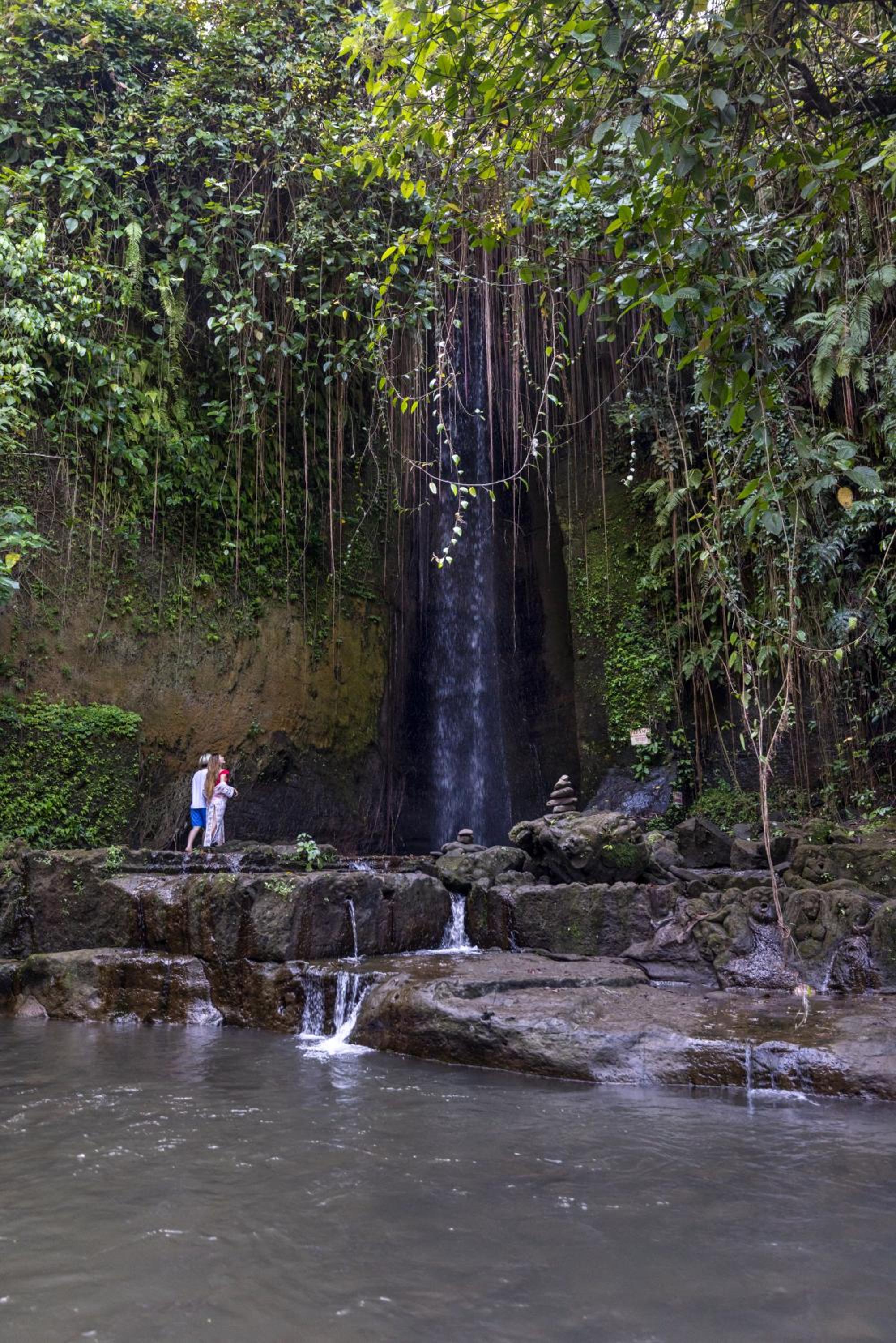 DITUJU Ubud by GenuineHost