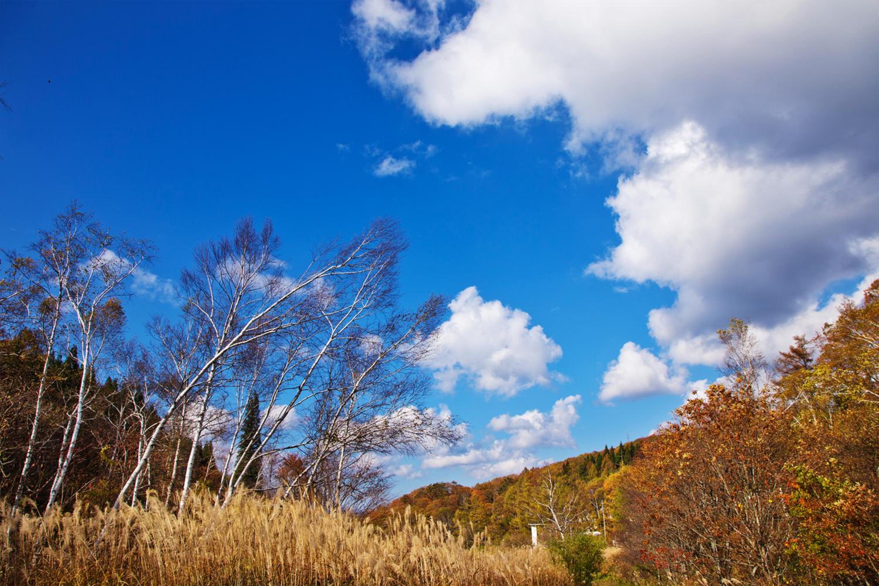 Resort Villa Takayama
