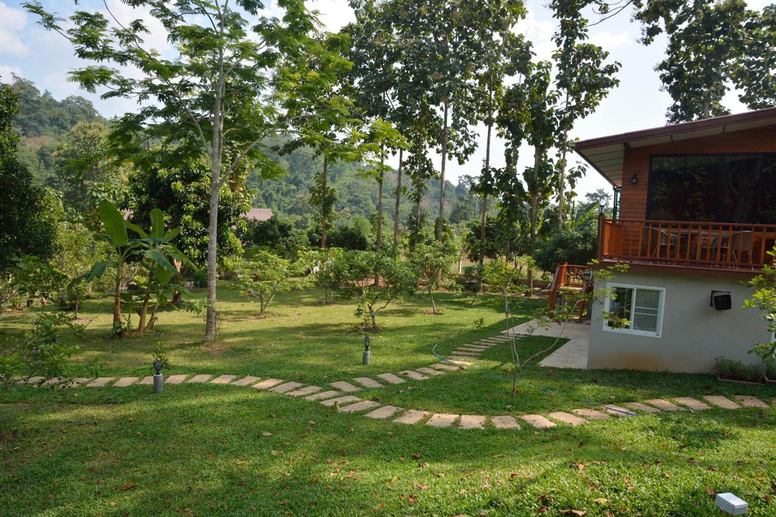At Home Chiang Dao, Pooch Lovers
