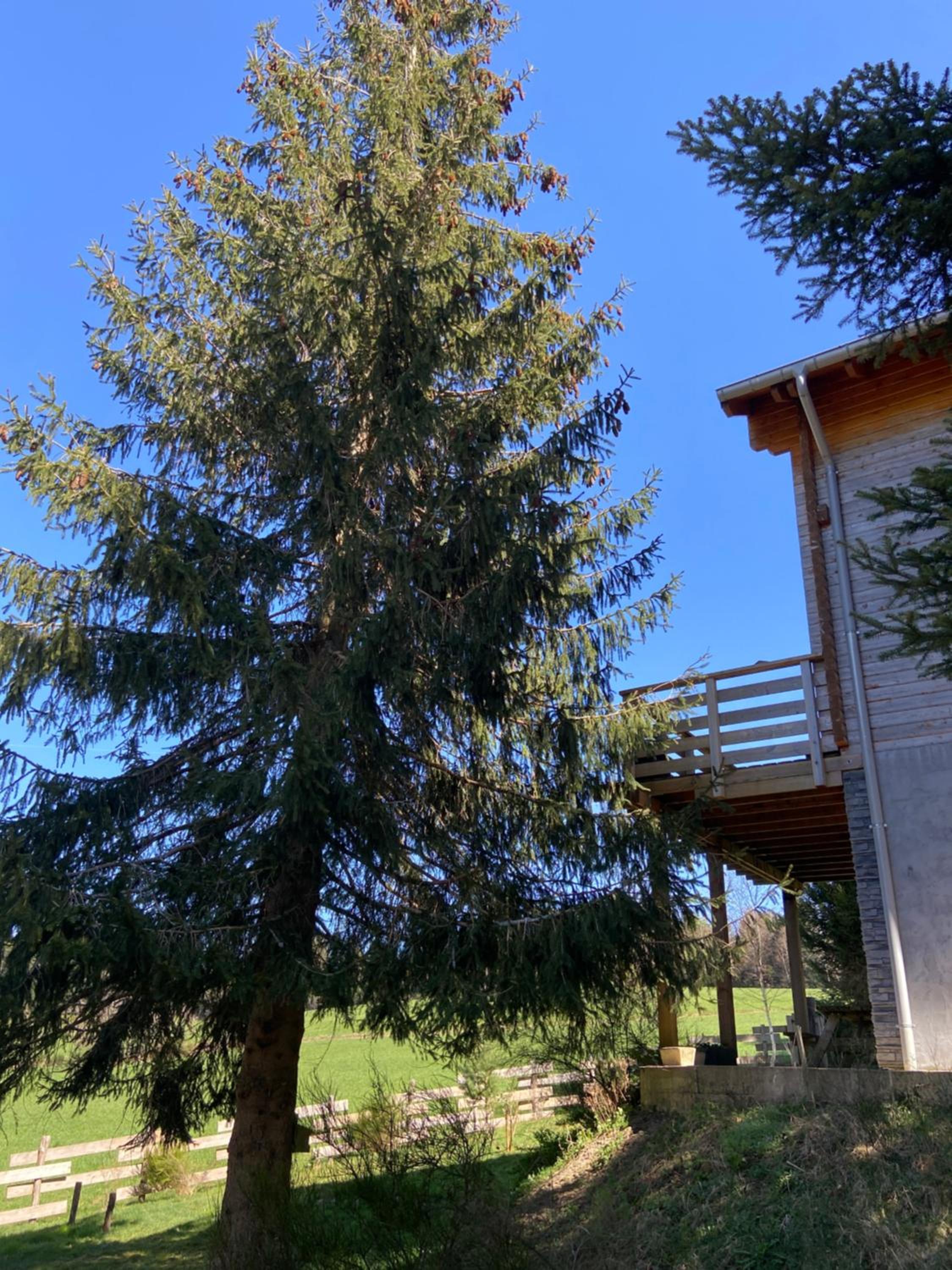 Chalet bois au calme, en lisière de forêt, balcons, sentiers balades Gérardmer & Alsace 