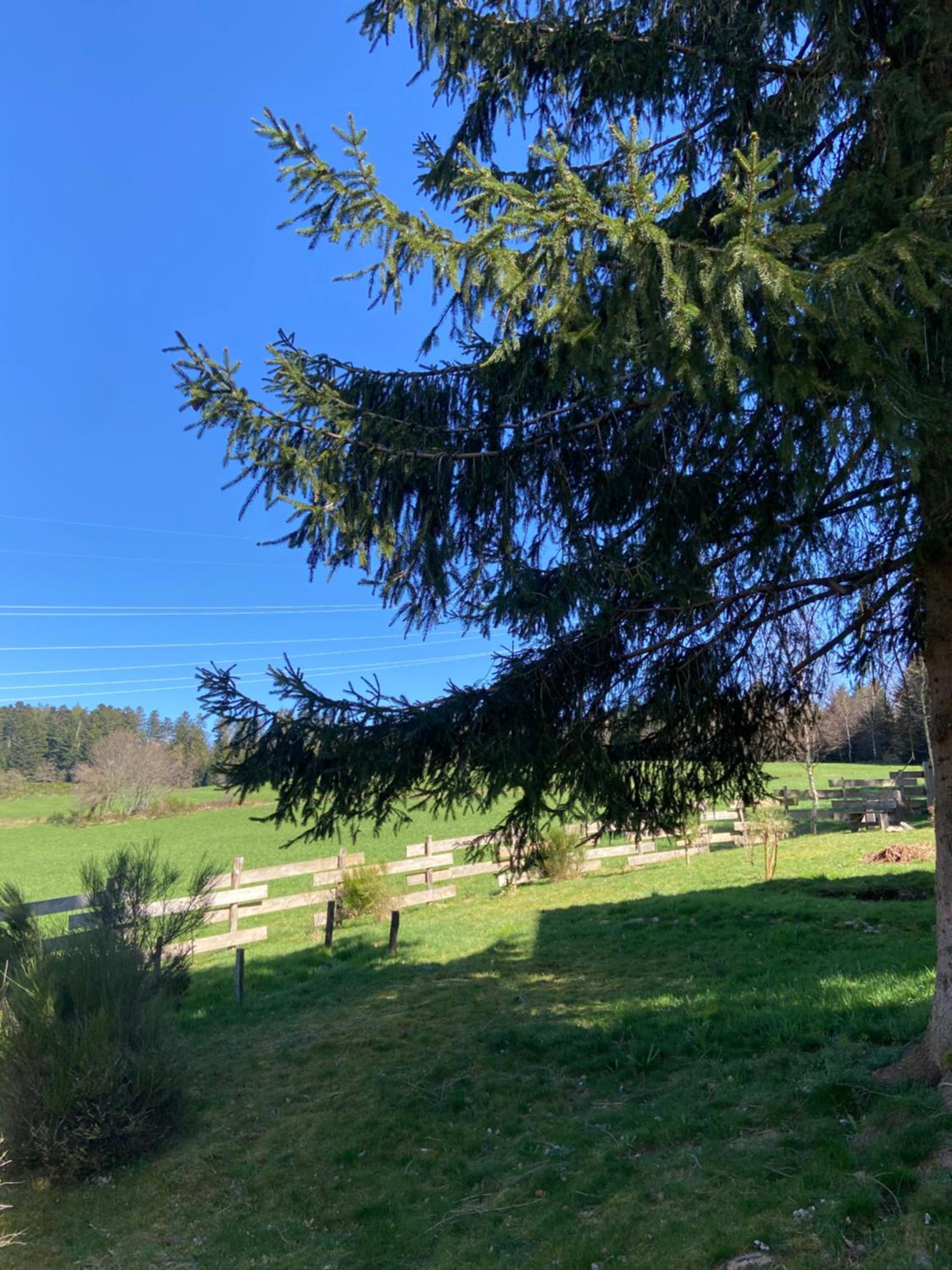 Chalet bois au calme, en lisière de forêt, balcons, sentiers balades Gérardmer & Alsace 