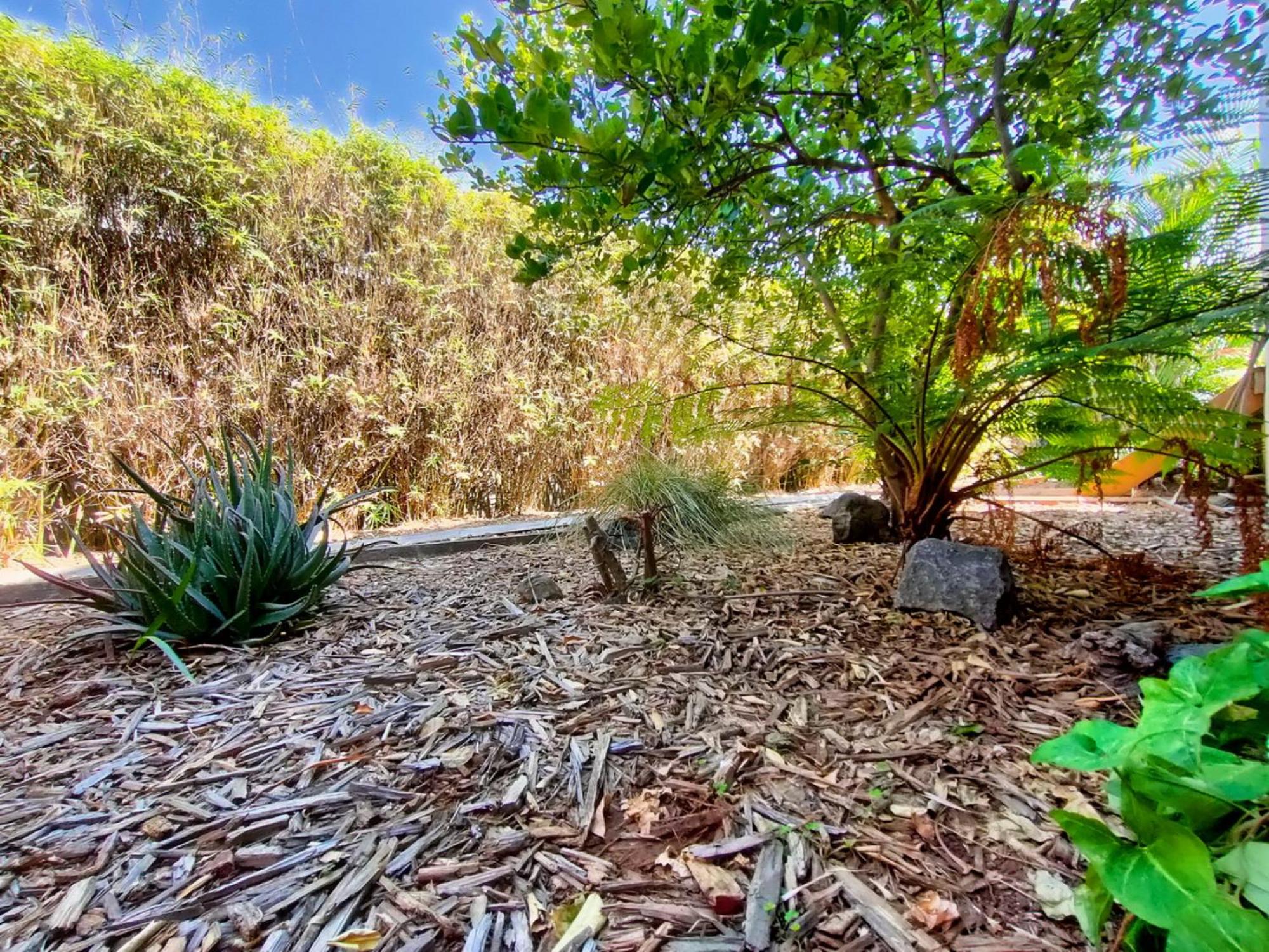 Bungalow les Songes, photo 19