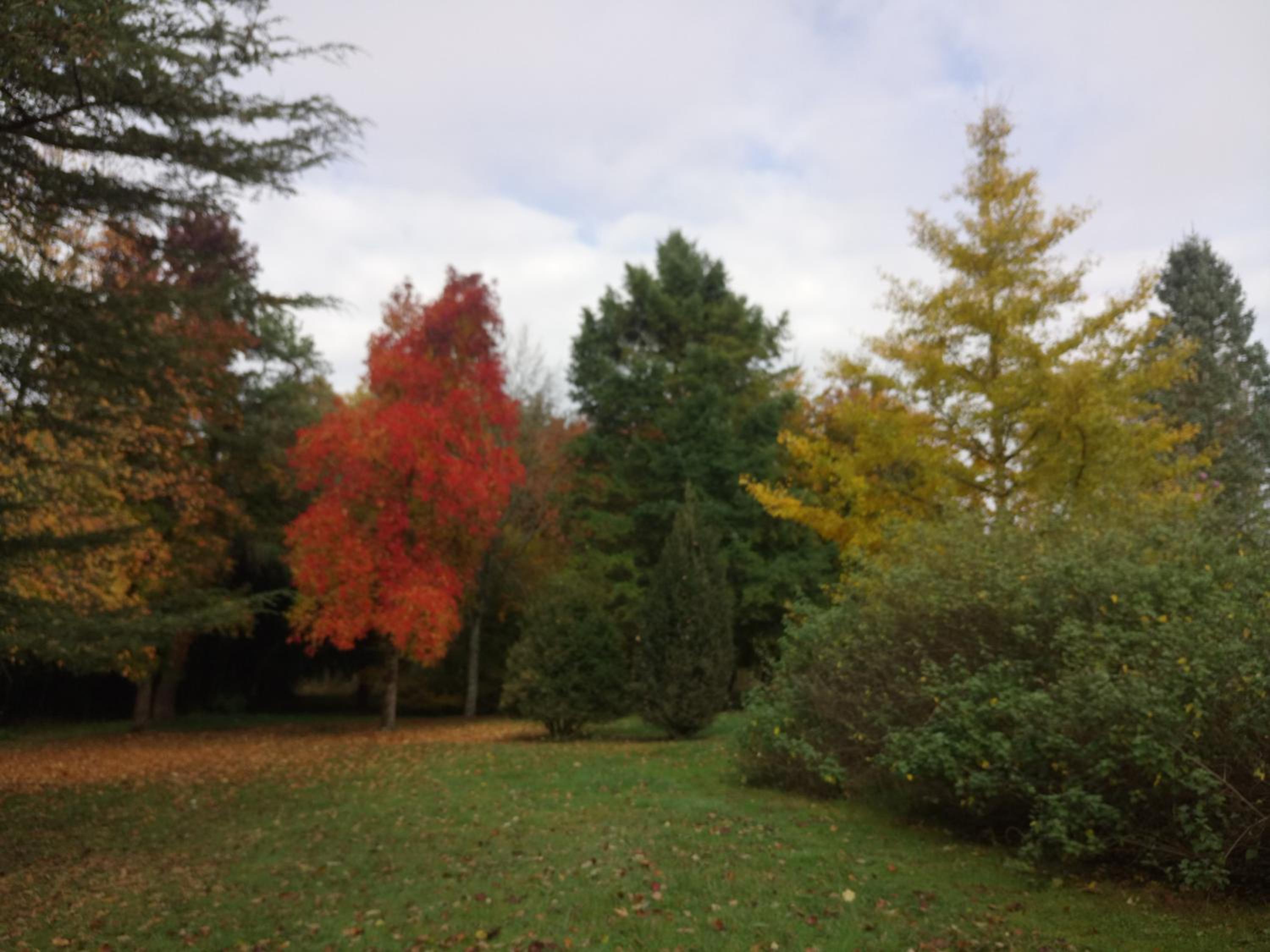Photo 13