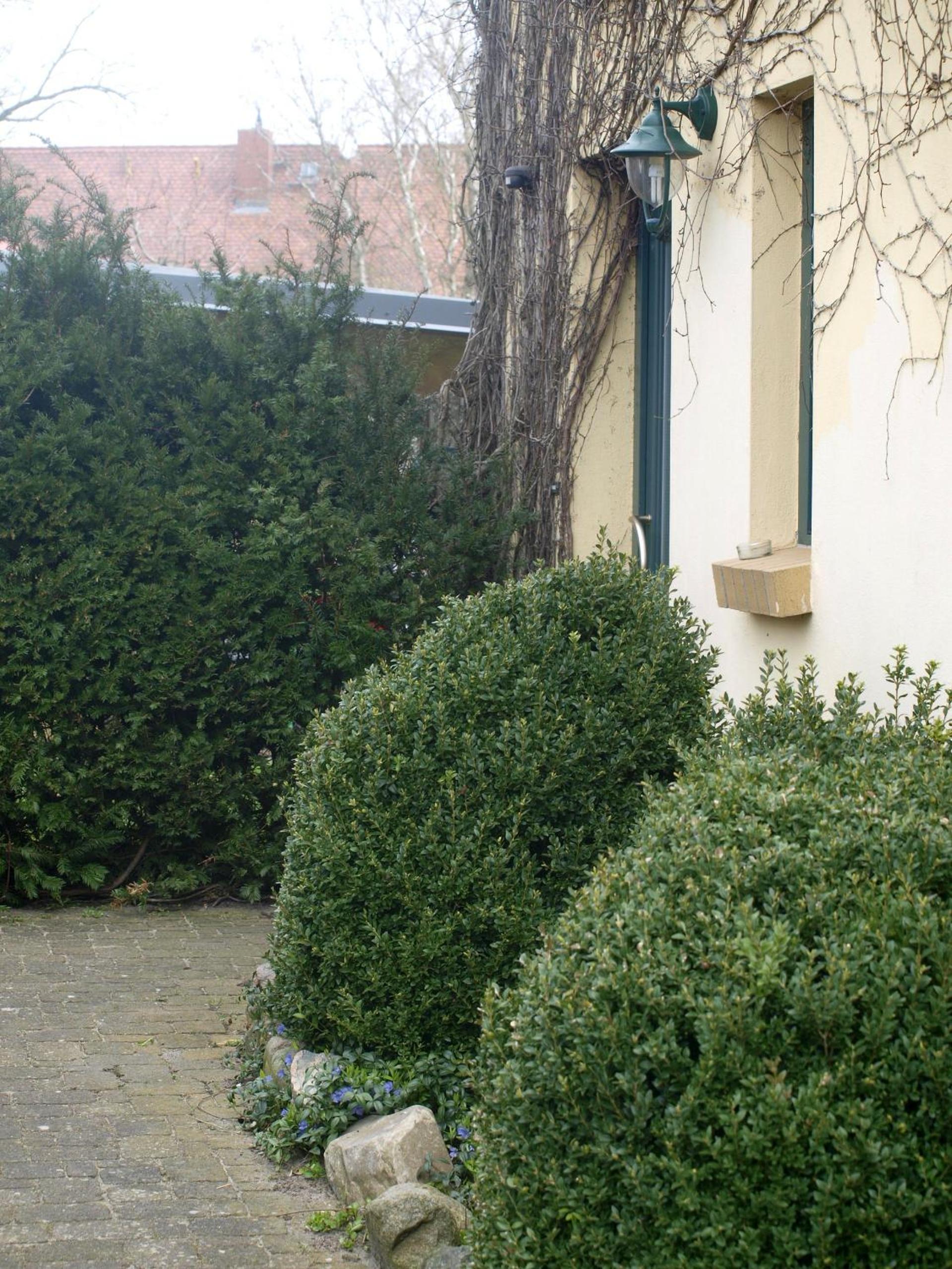 Photo 25