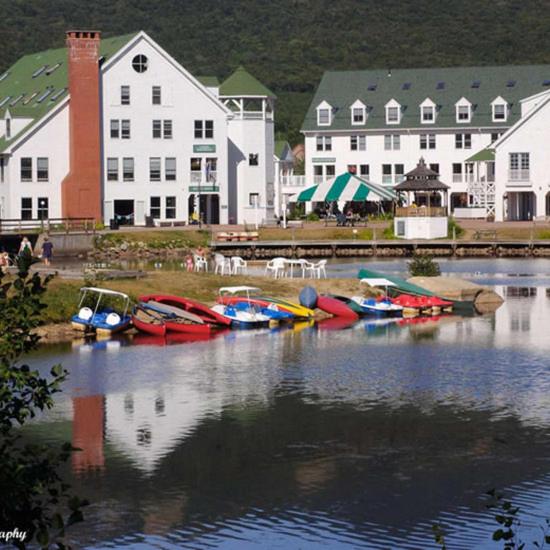 Snowy Owl Inn view 5