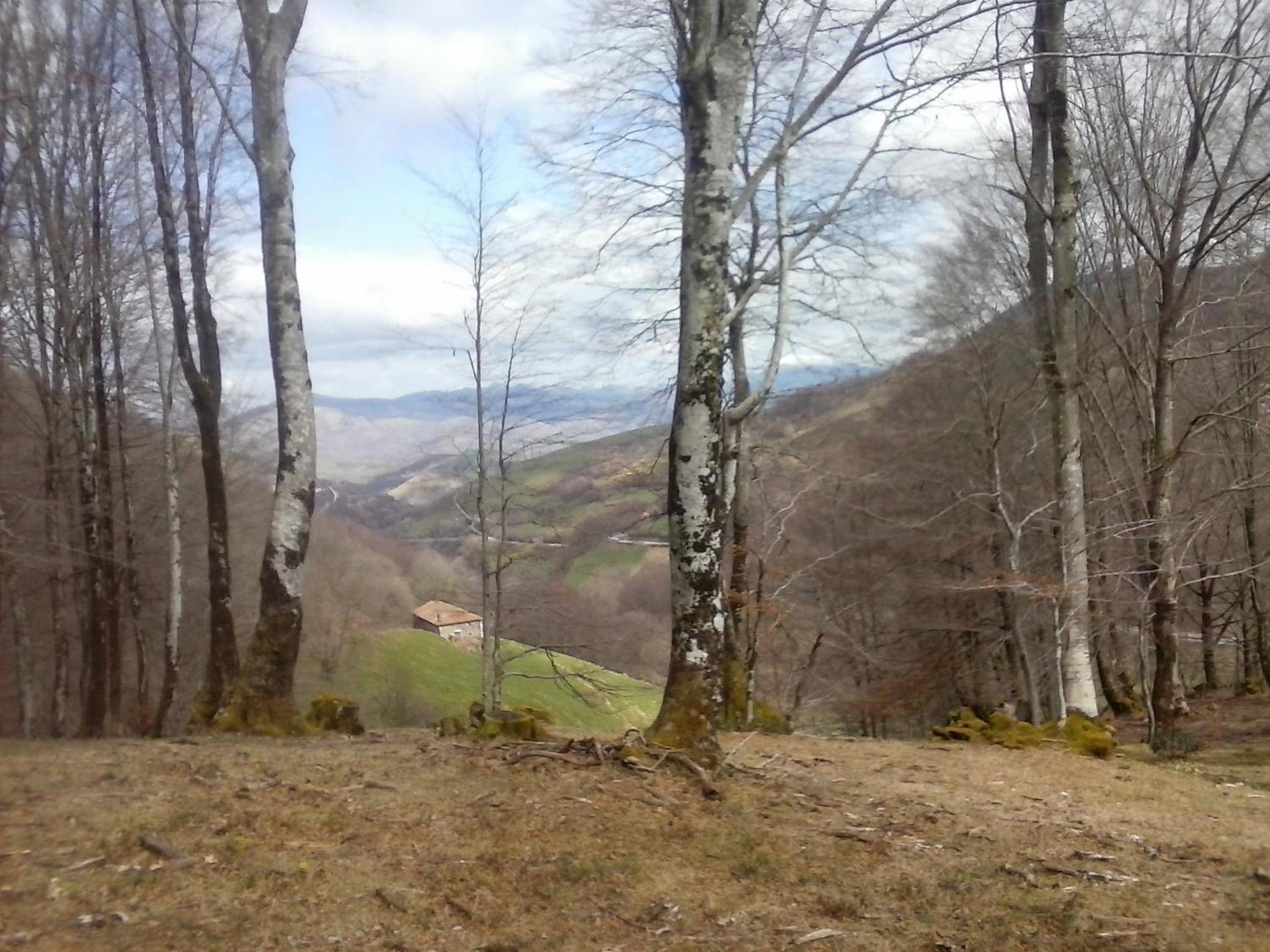 Photo 44