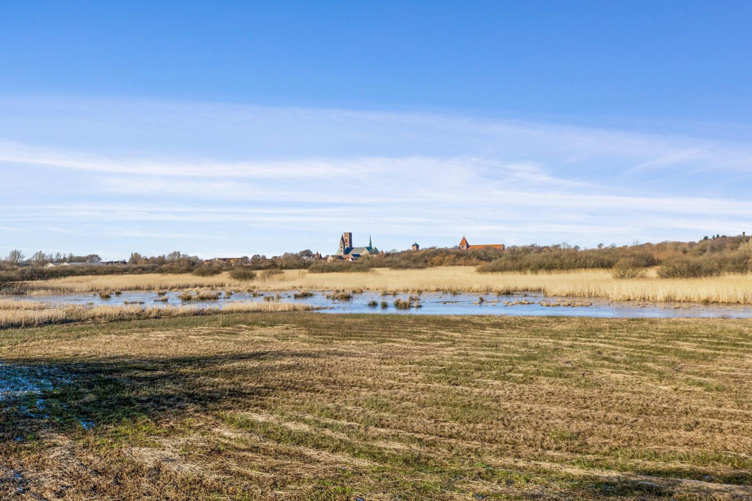 tulipanhuset