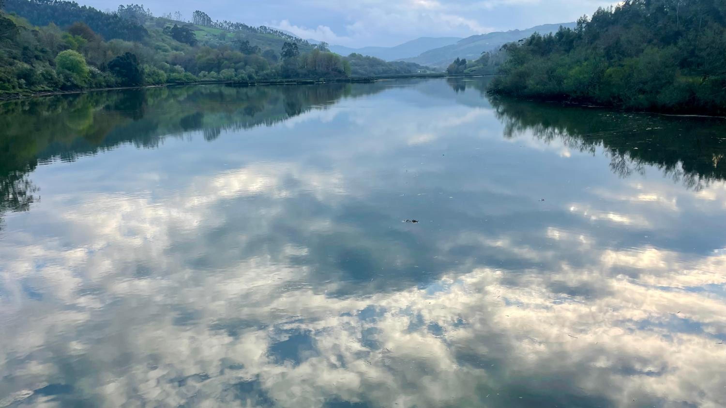 Marismas de Cantabria cerca de Laredo