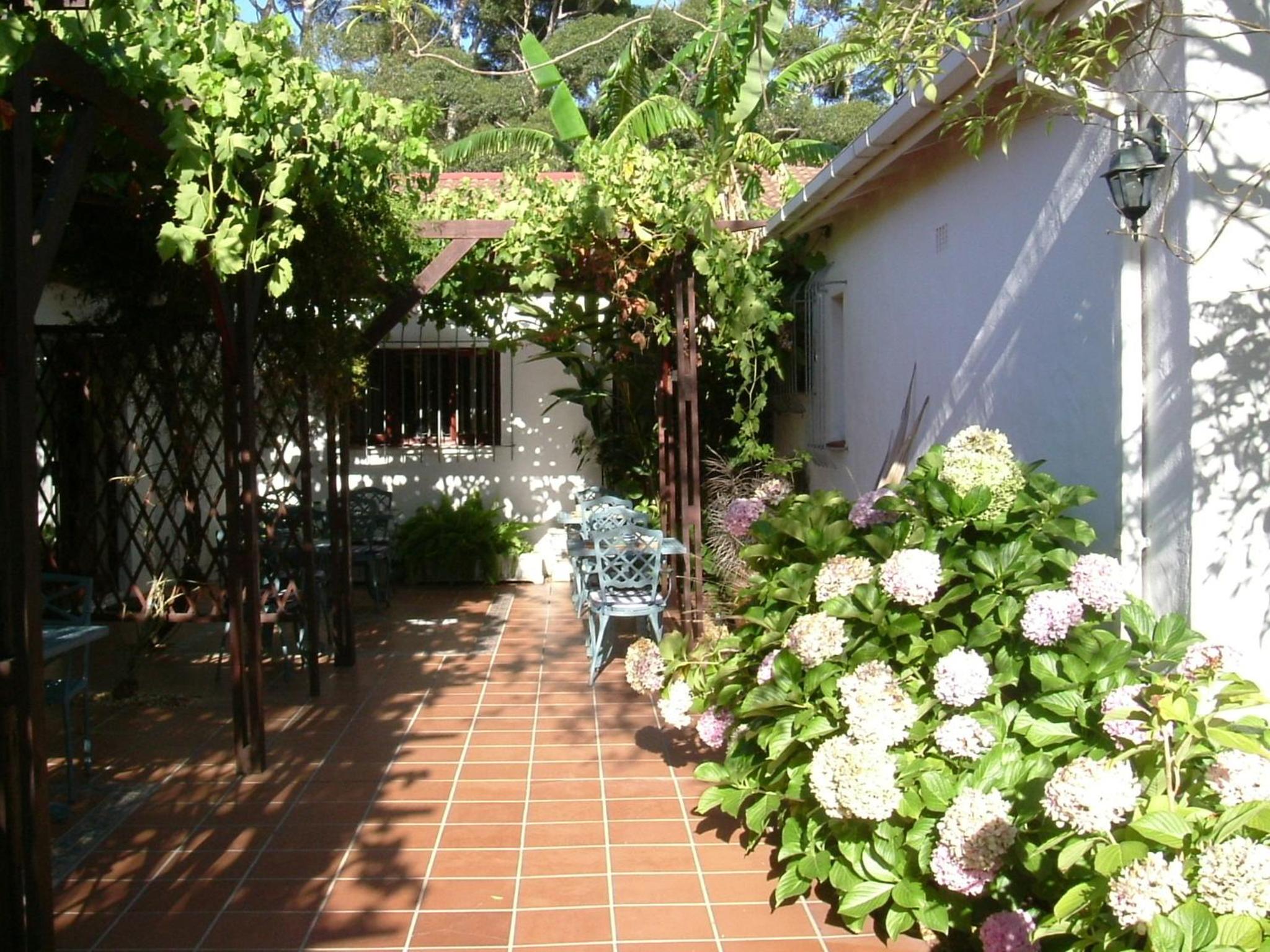 Photo 24