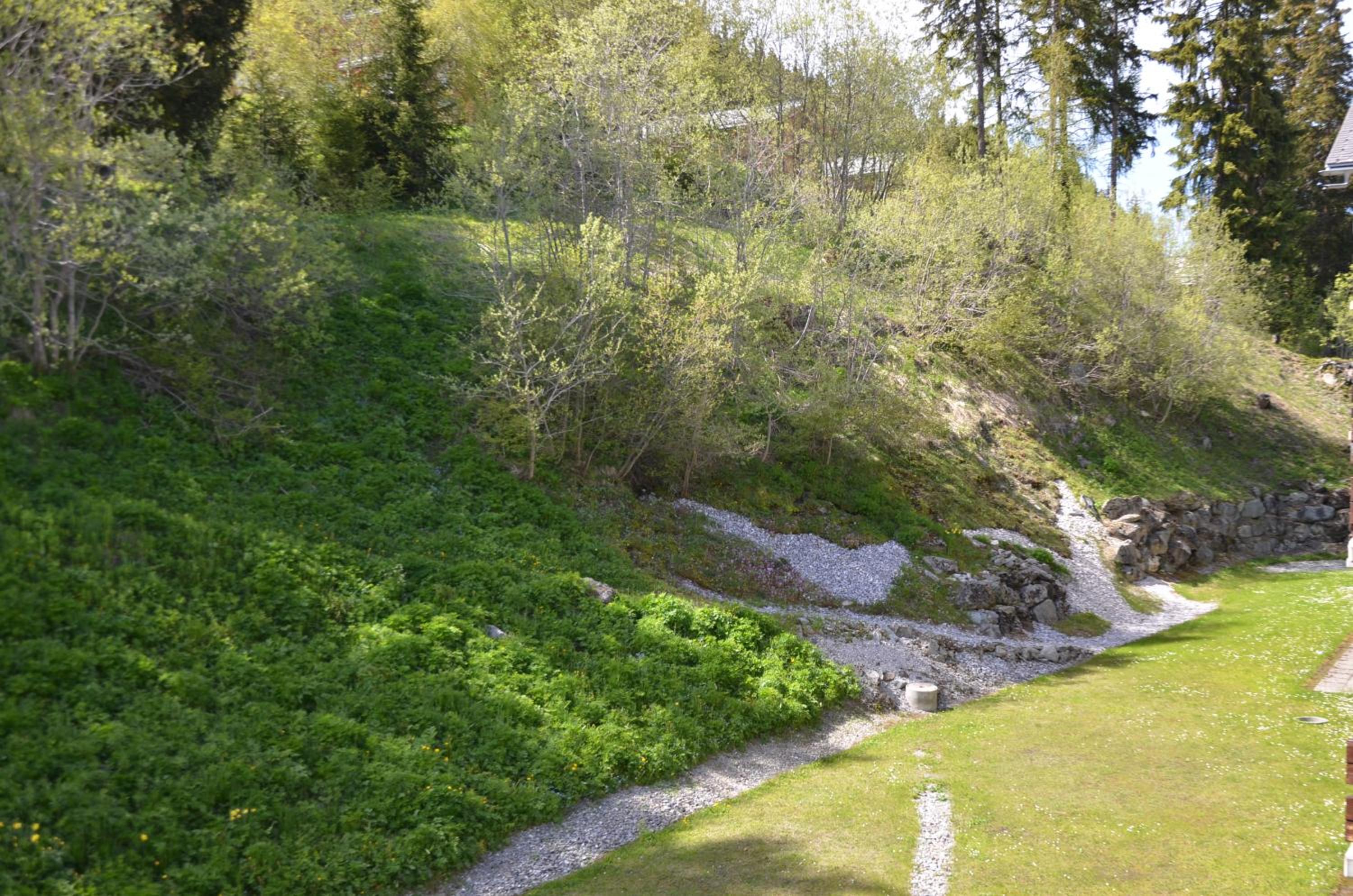 Photo 33