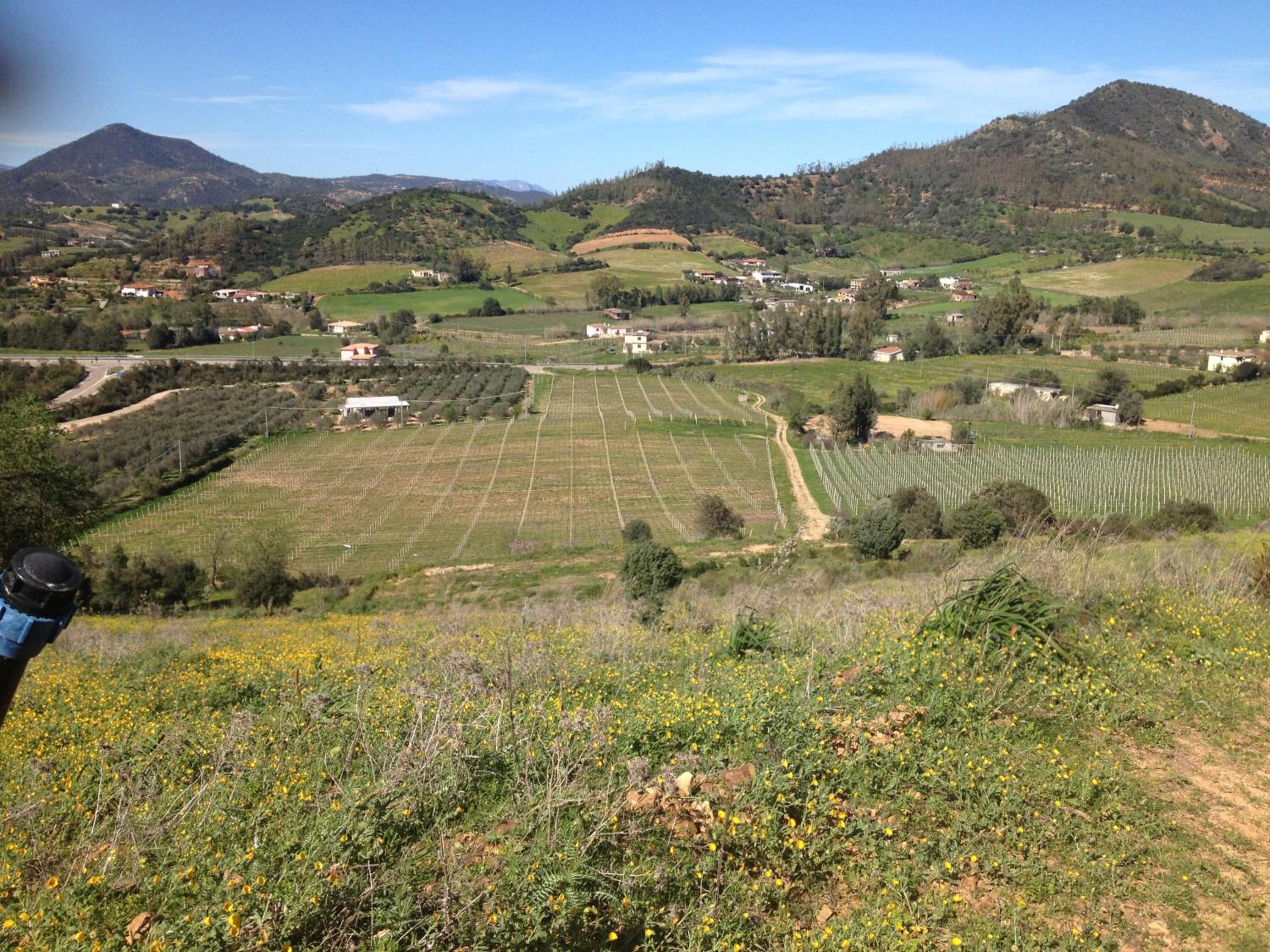 Agriturismo S'Orgiola