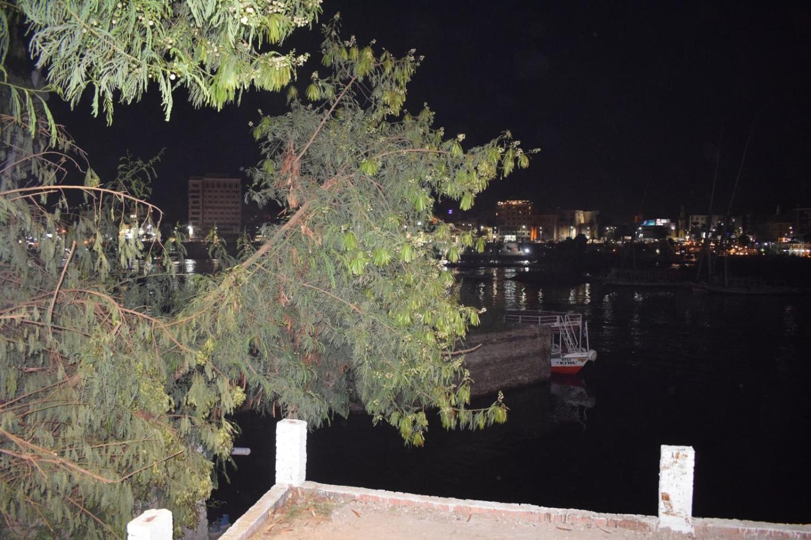 Nile Moon