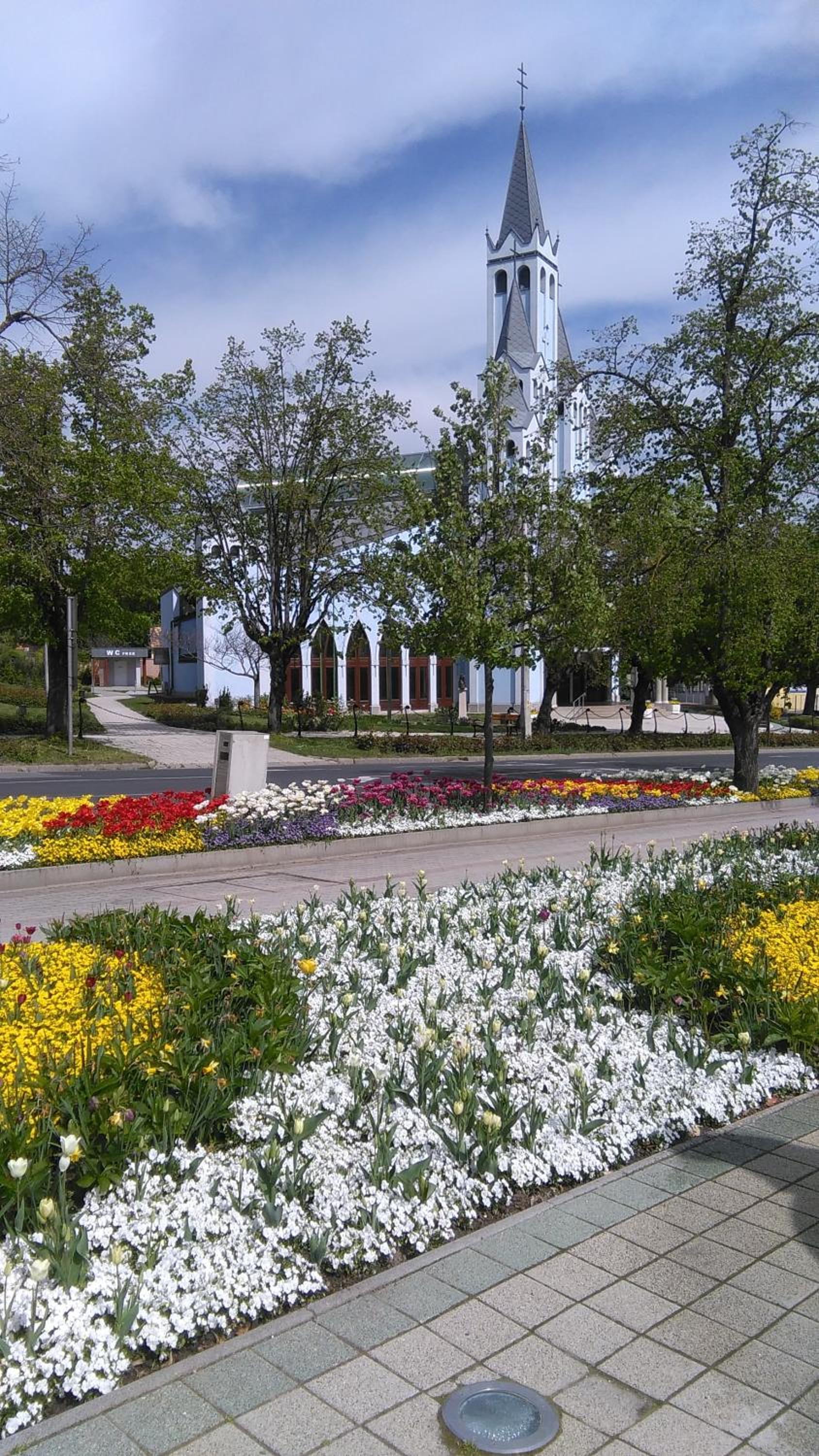 Photo 23
