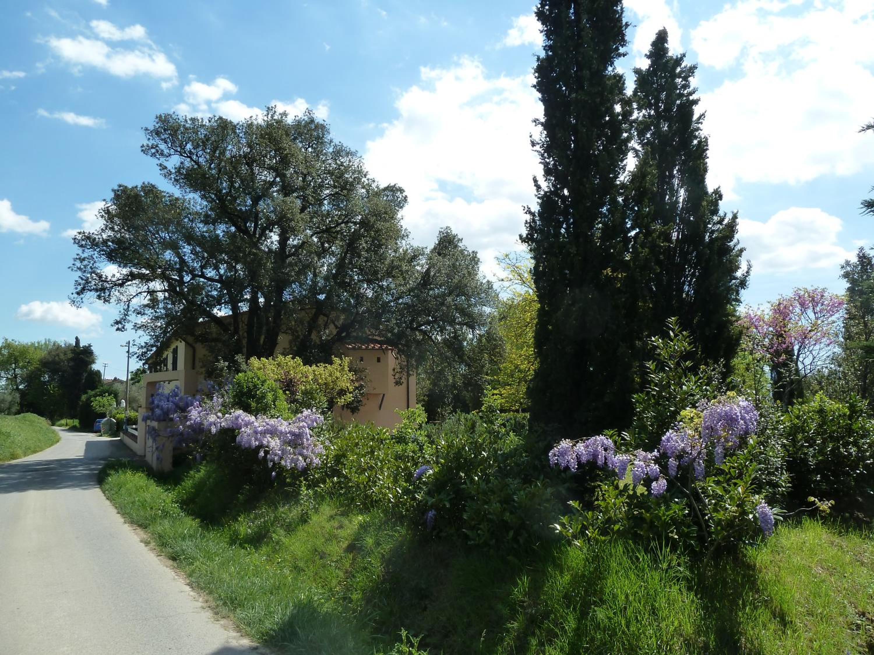 Al Vecchio Leccio view 2