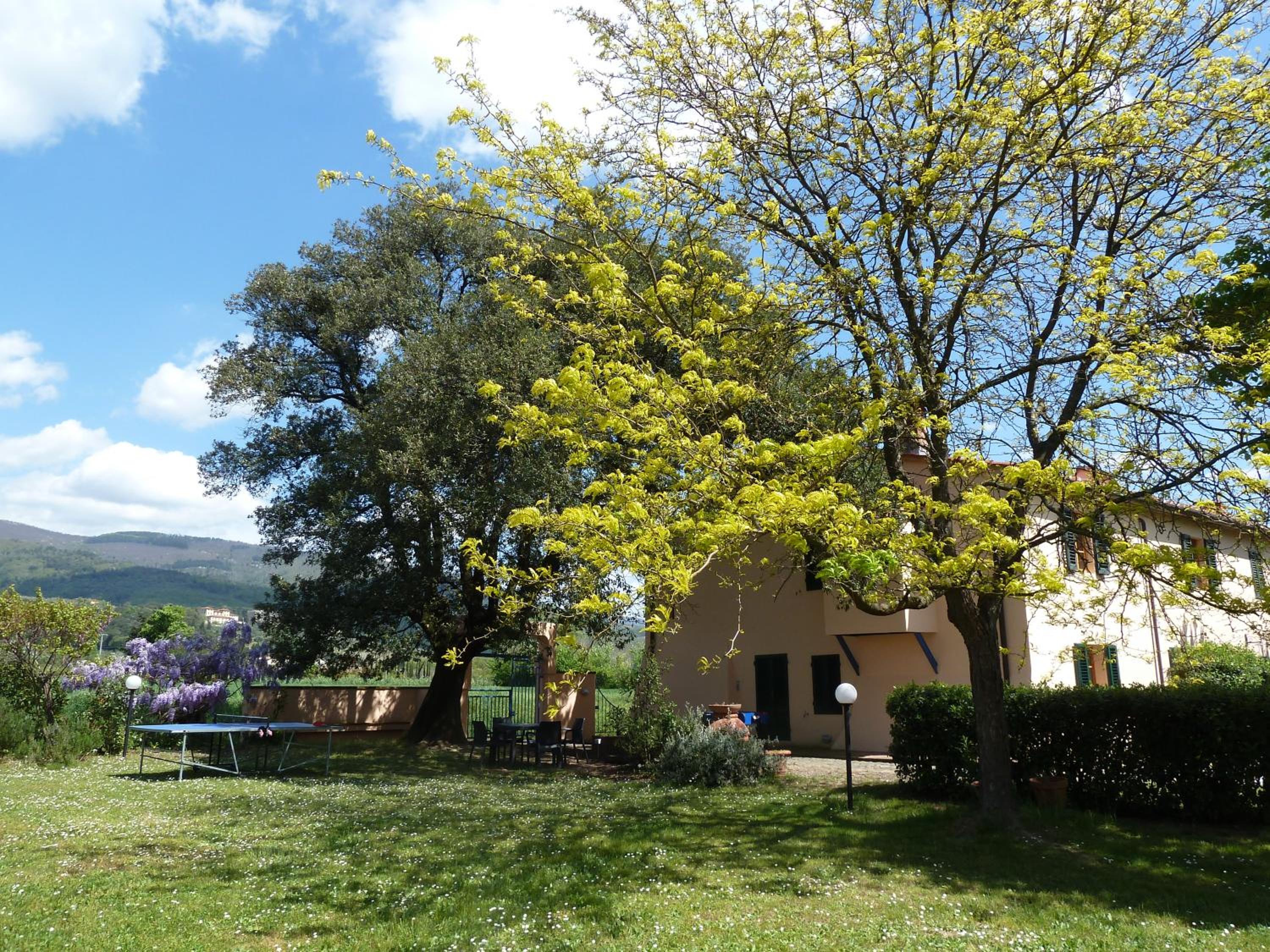 Al Vecchio Leccio view 5