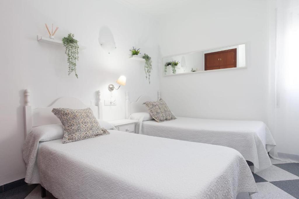 Hostal Restaurante La Giralda, photo 6