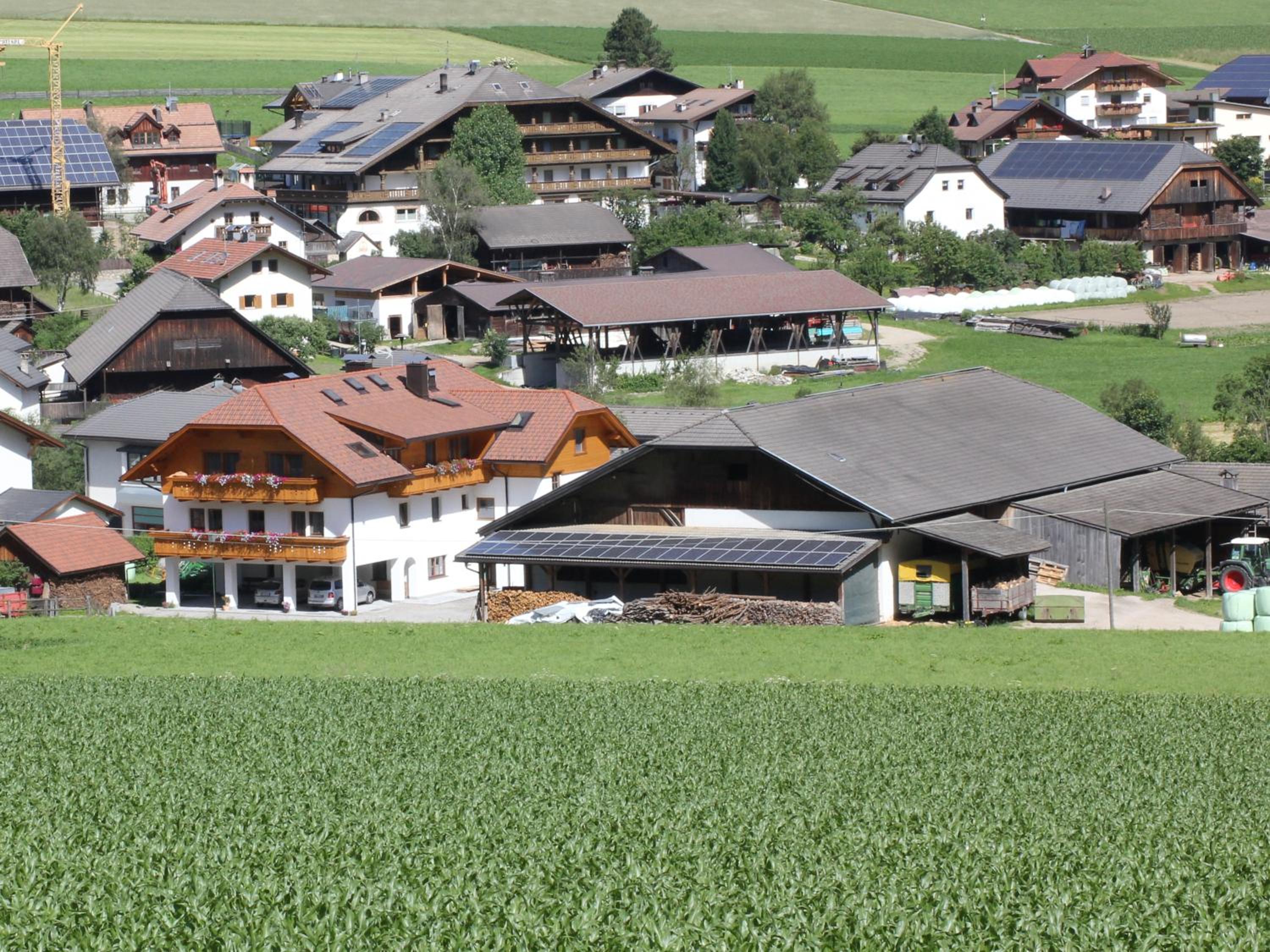 Photo 43