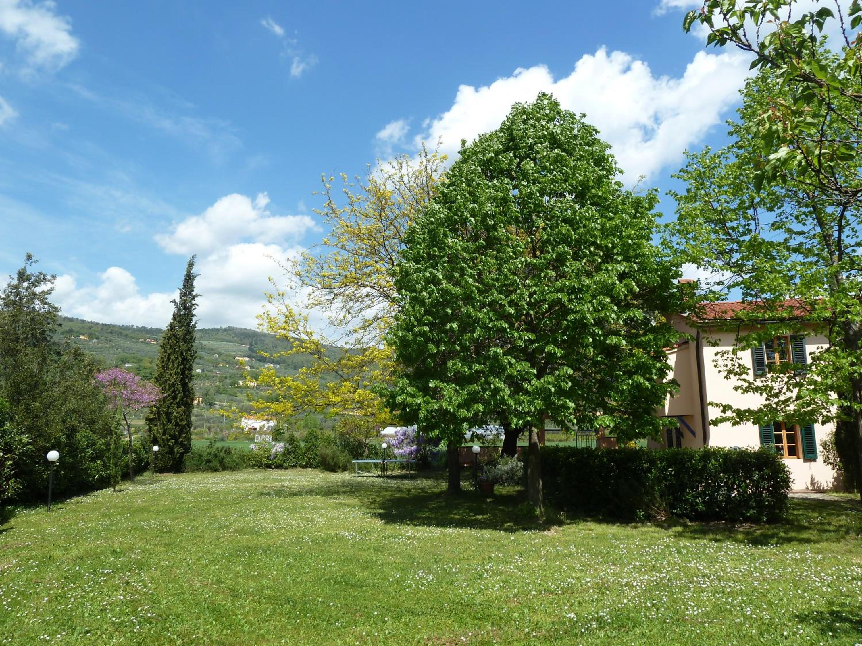 Photo 29