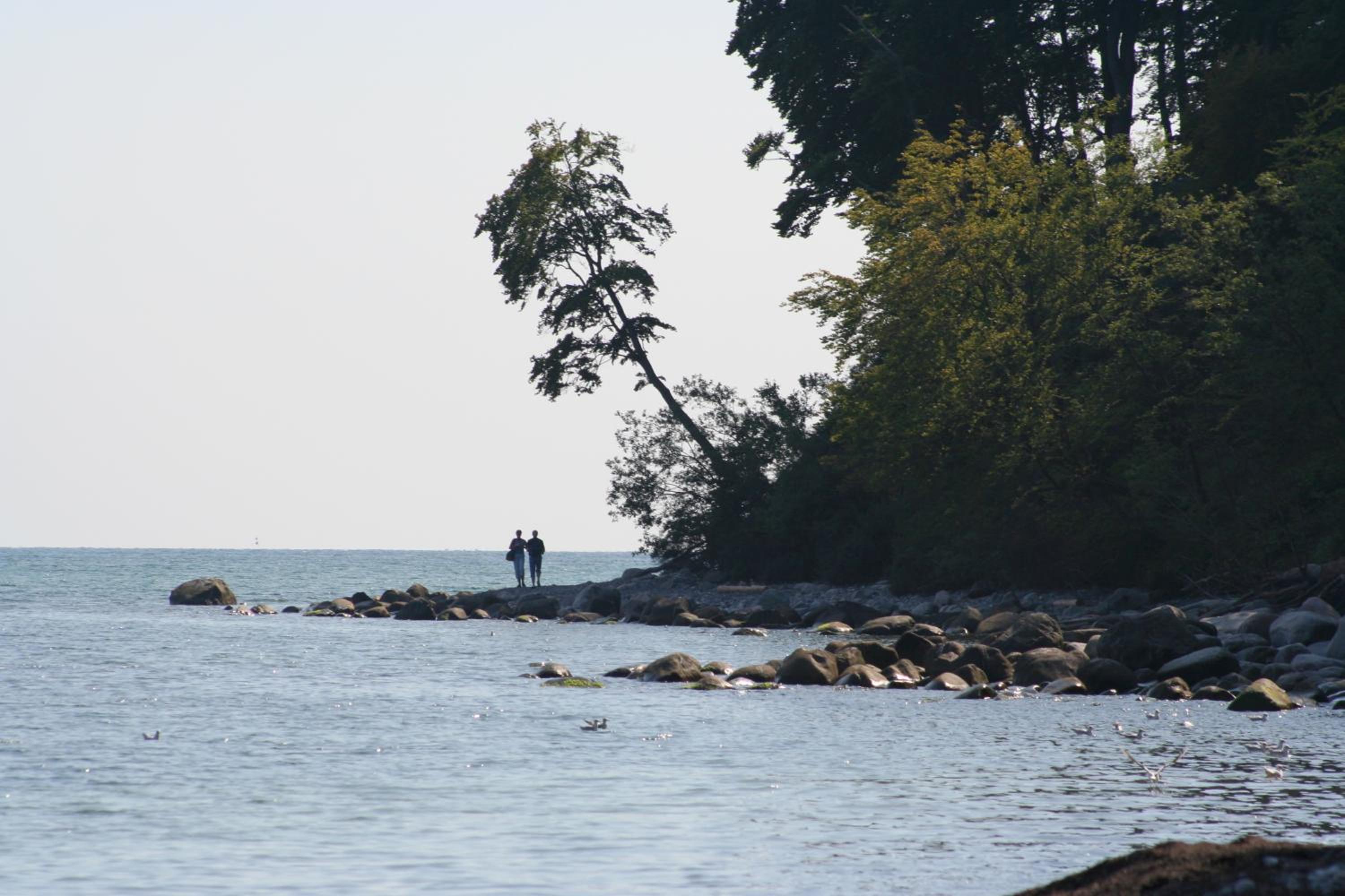 Tiendegaarden Møns Klint