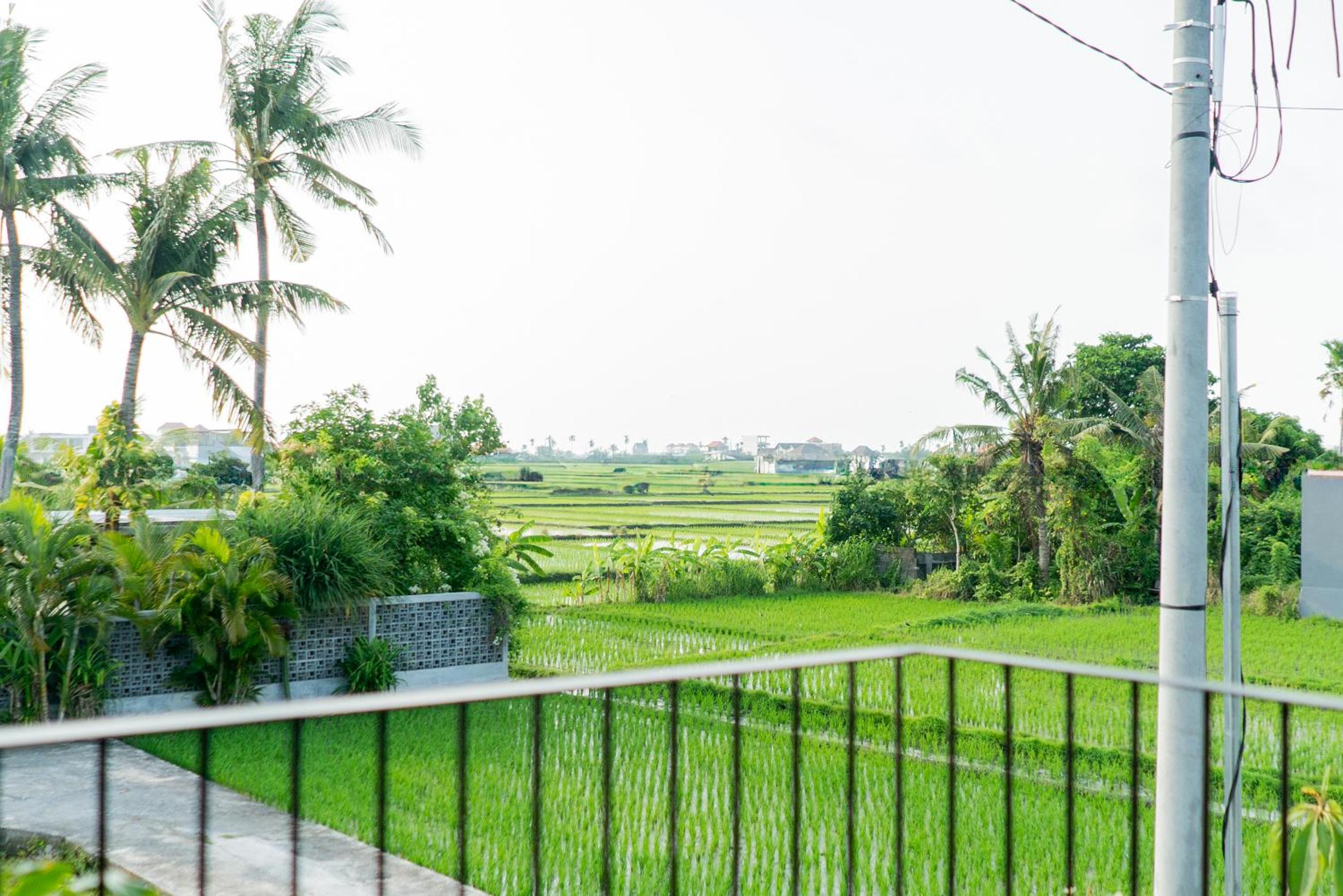 Casa Jamie - 1BR Villa near Seseh Beach