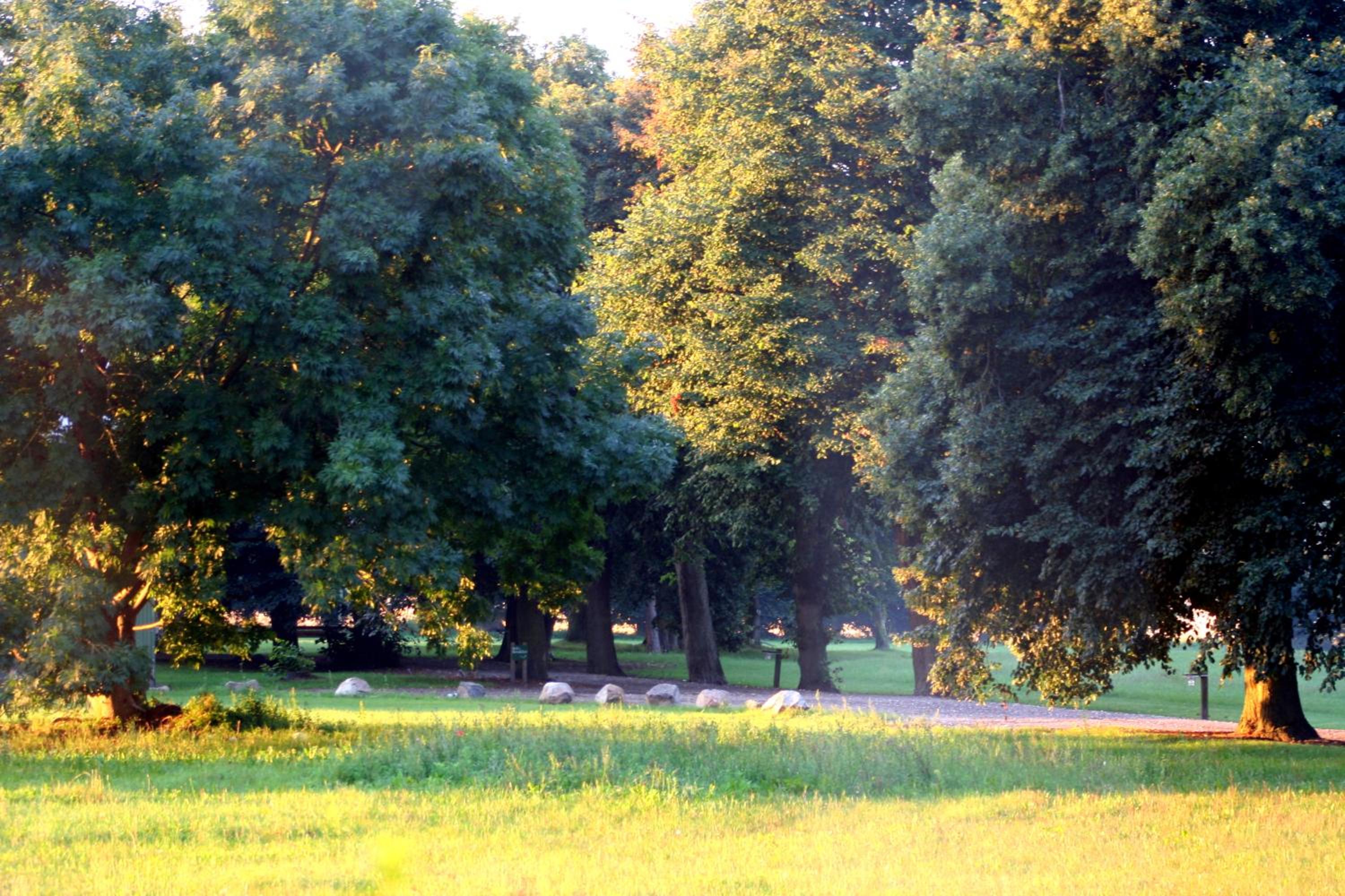 Tiendegaarden Møns Klint