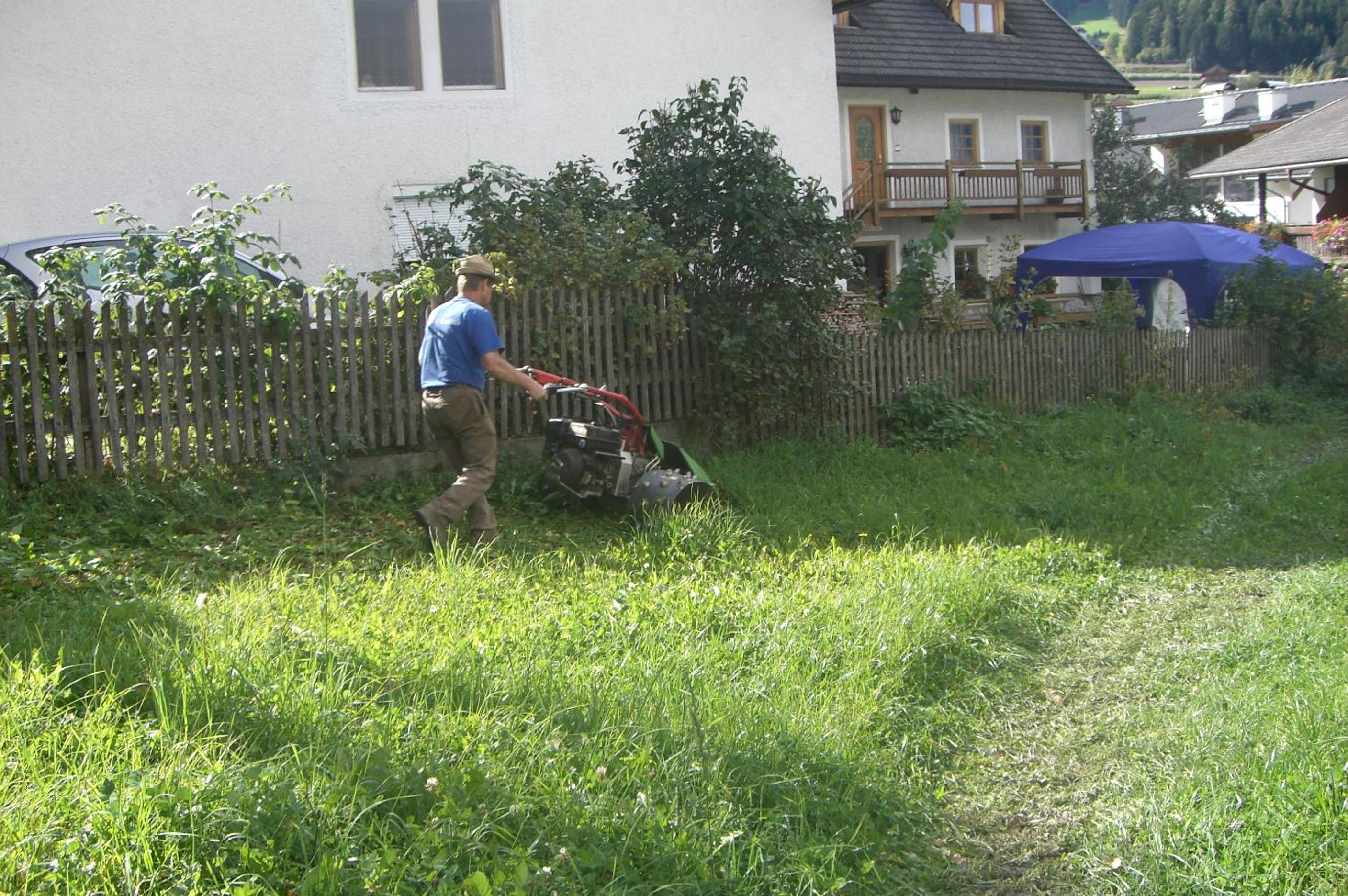 Photo 32