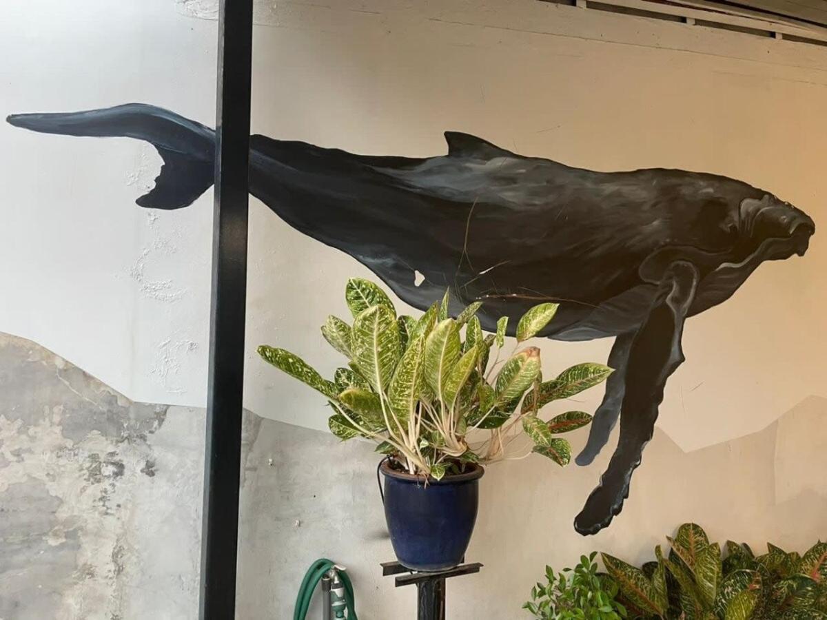Unique Design House, 2BR House - Near Ipoh Local Foodies