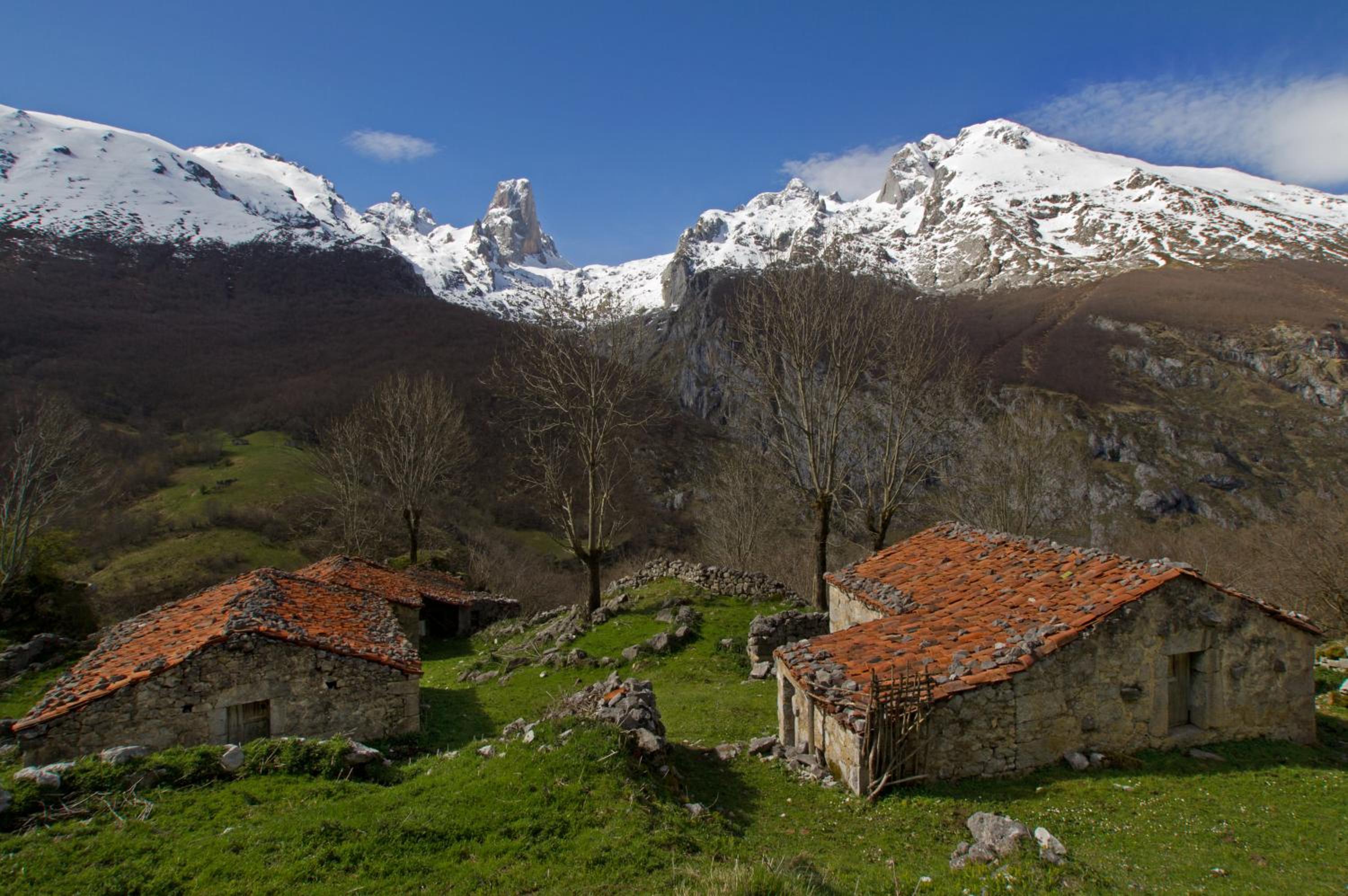 Apartamentos la Regoria