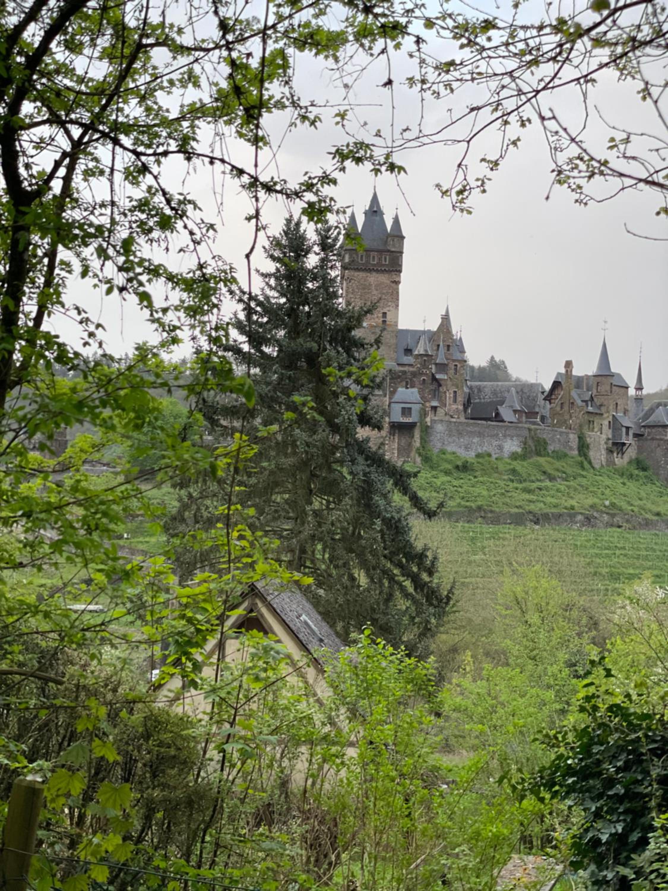 Pinnerbergstube Ferienwohnung Cochem Mosel