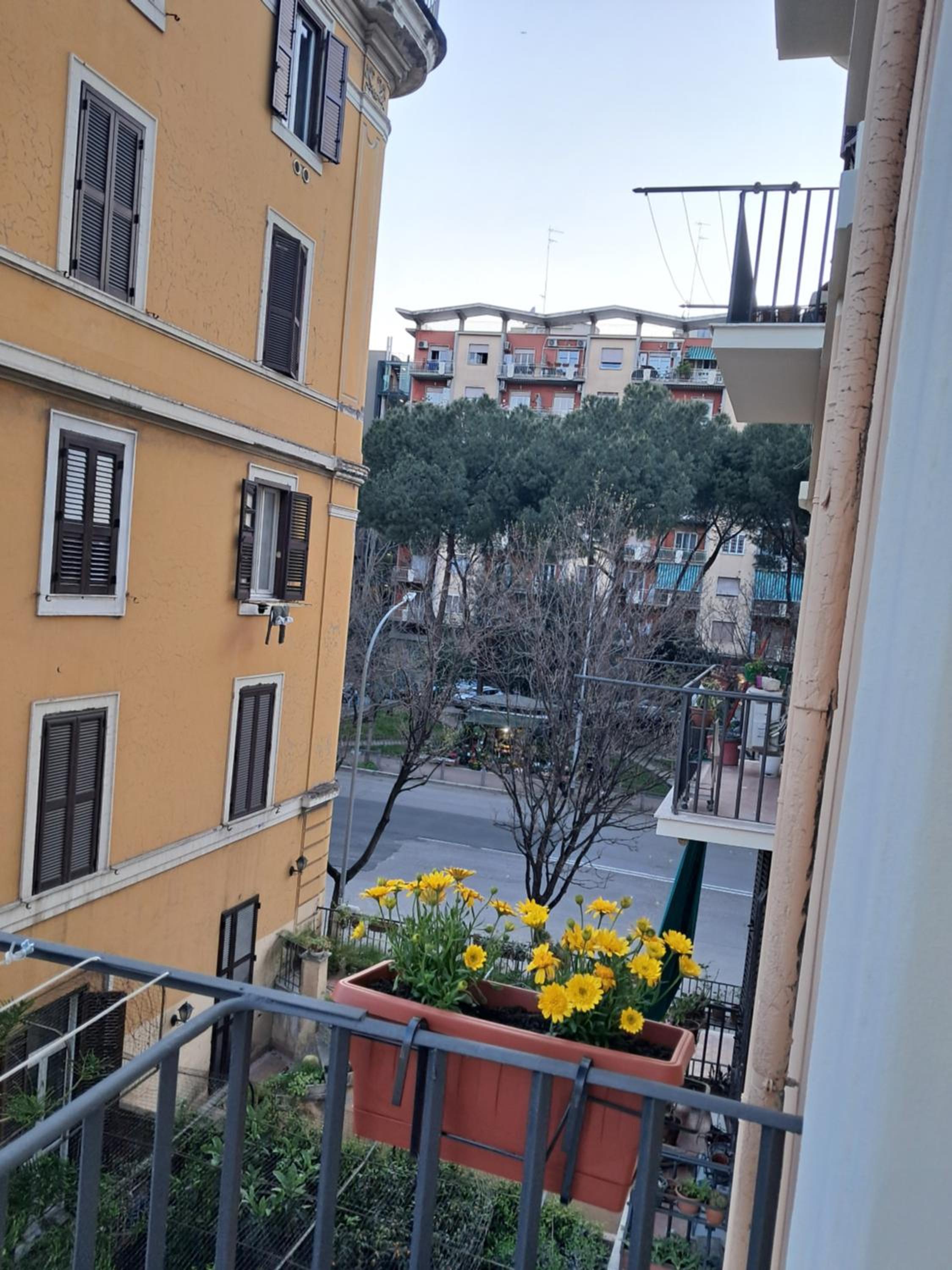 MariElu a Trastevere