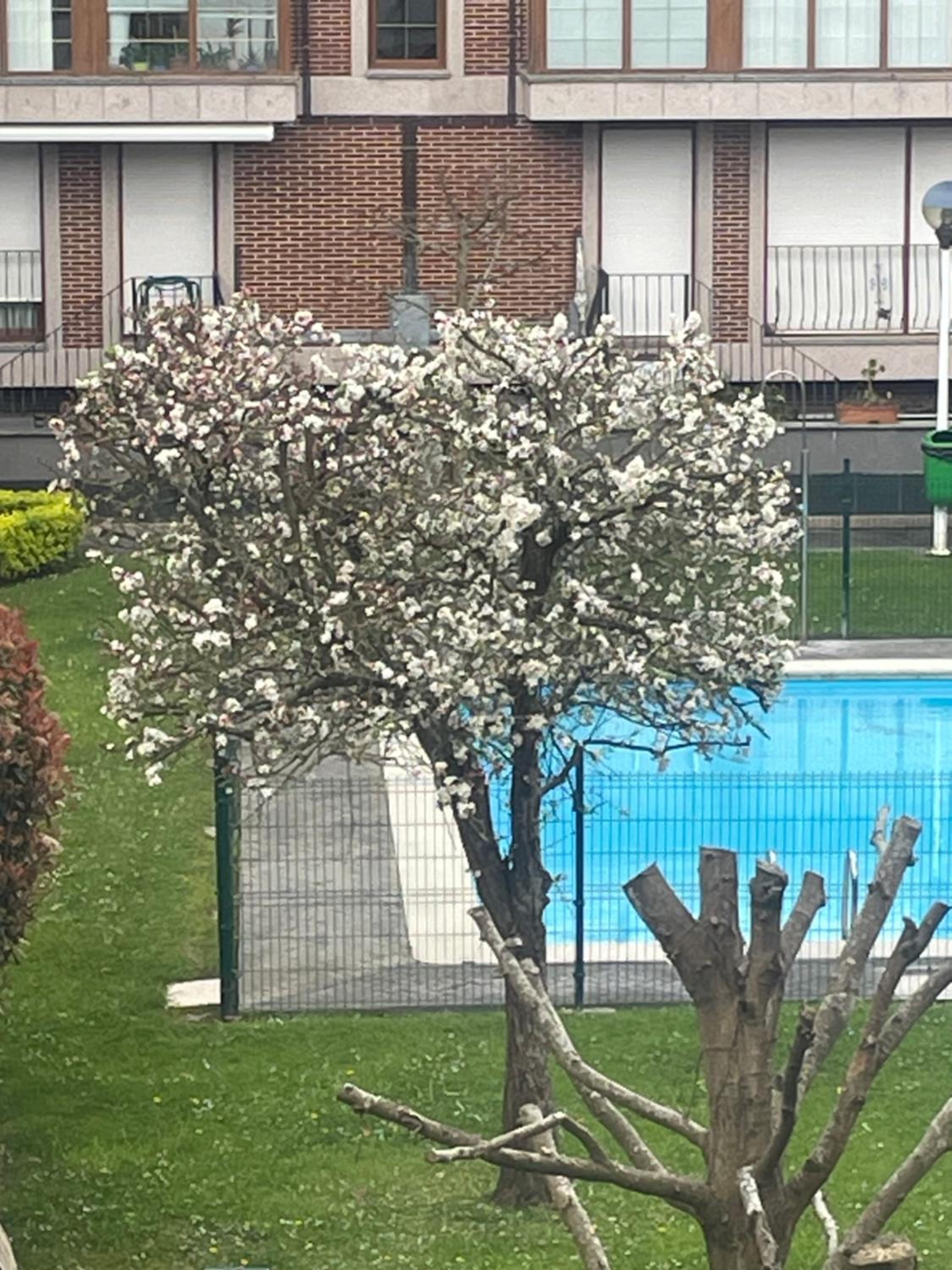 Marismas de Cantabria cerca de Laredo