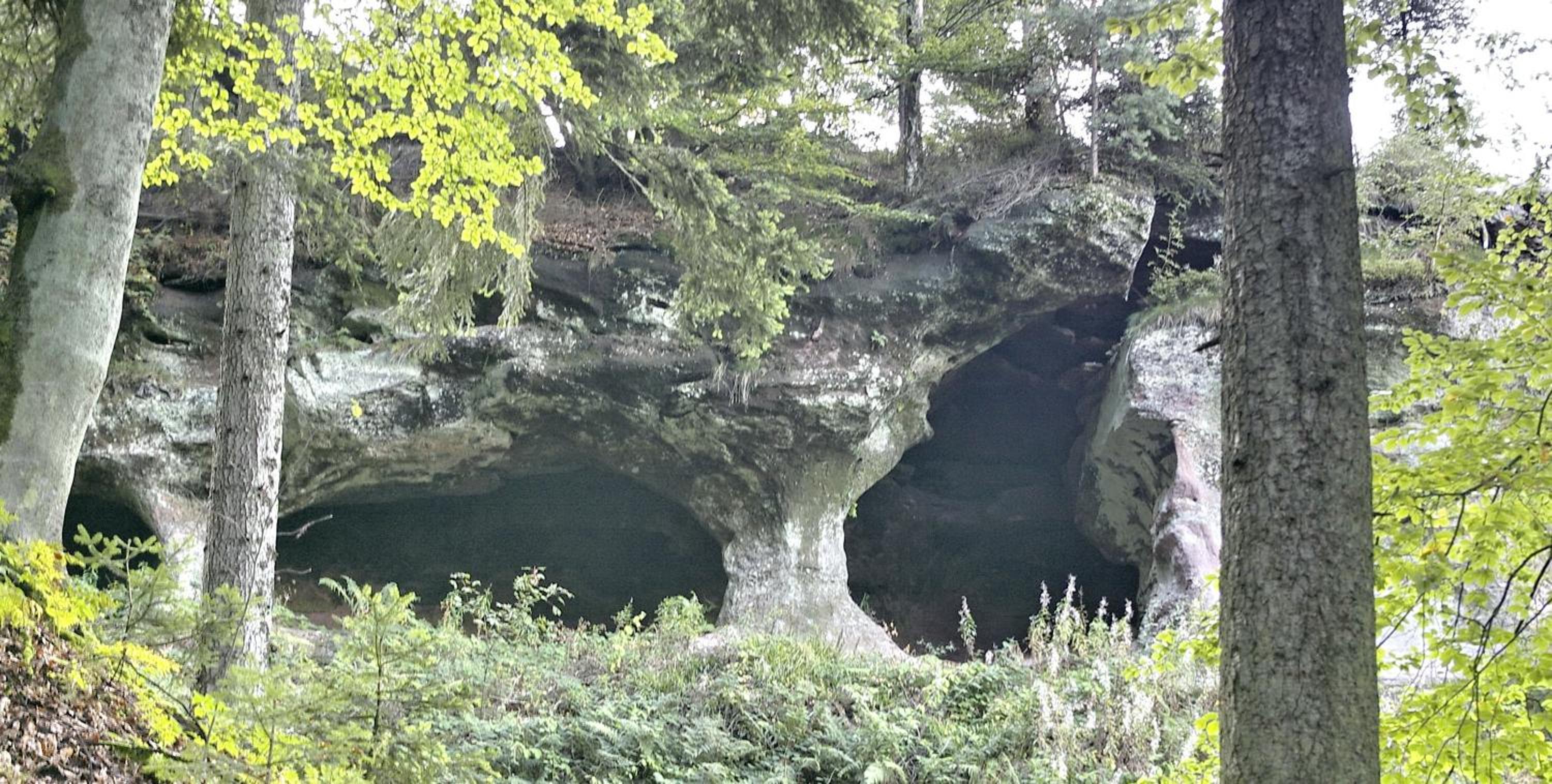 Amstadt's Birkenfels, photo 19